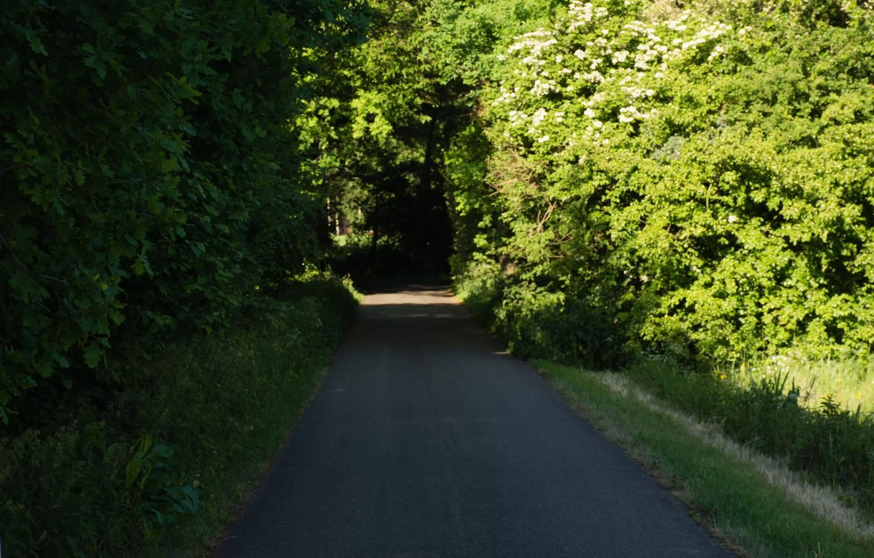 Street view in B&B Erve de Bosch