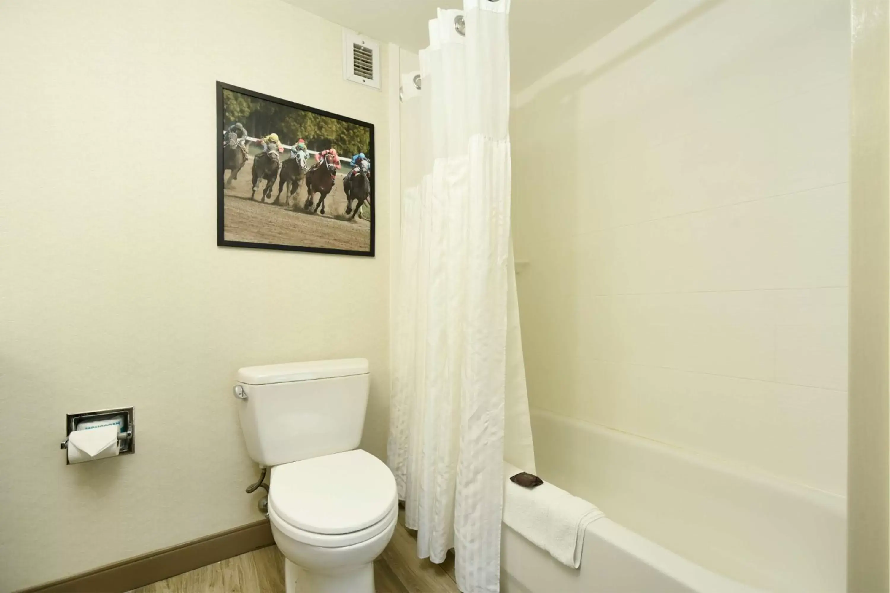 Bathroom in Hilton Garden Inn Saratoga Springs