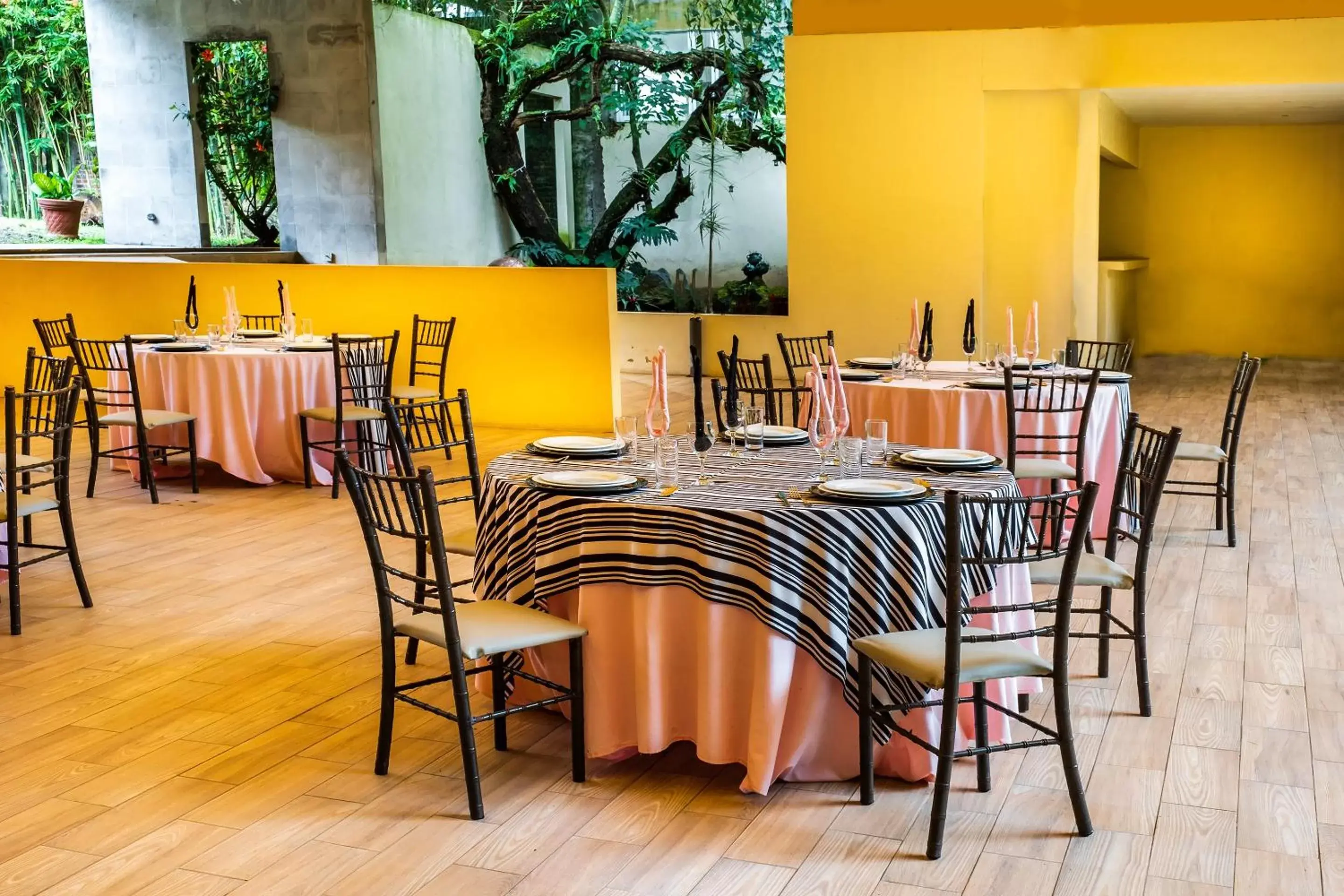 Garden, Restaurant/Places to Eat in Capital O Hotel Central, Xalapa