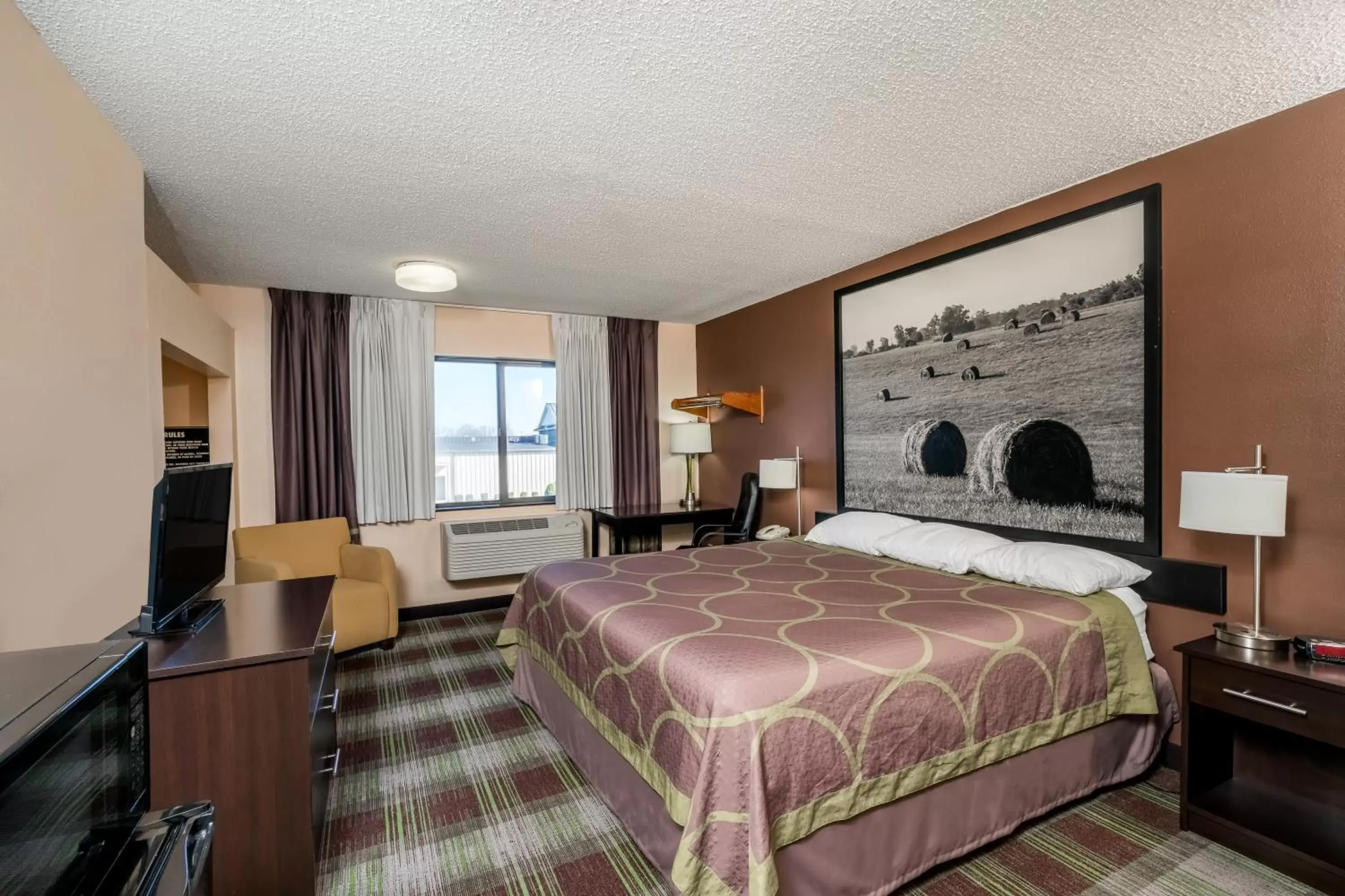 Bed in Super 8 by Wyndham Campbellsville KY Bed in Super 8 by Wyndham Campbellsville KY