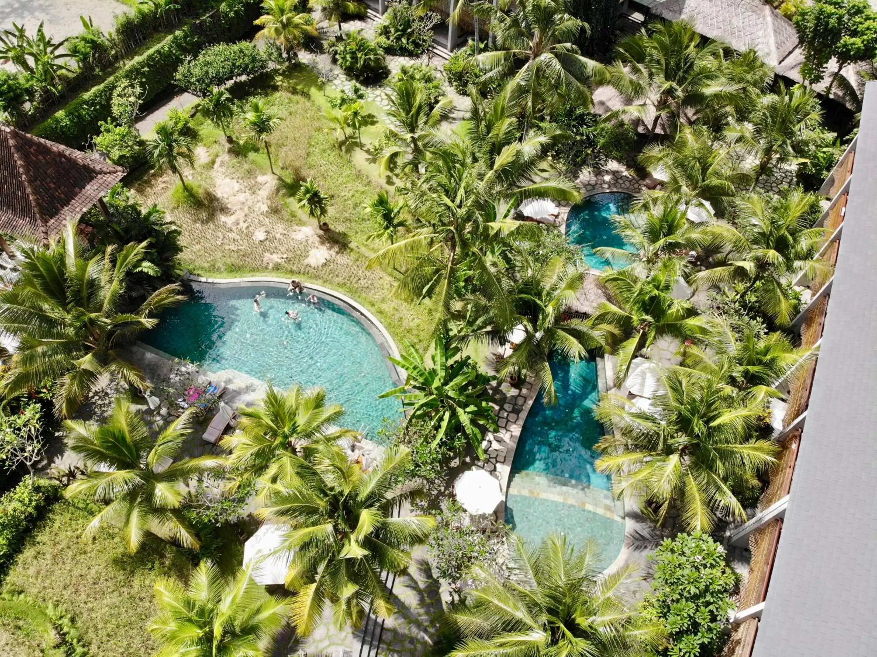 Bird's eye view in Alaya Resort Ubud Bird's eye view in Alaya Resort Ubud
