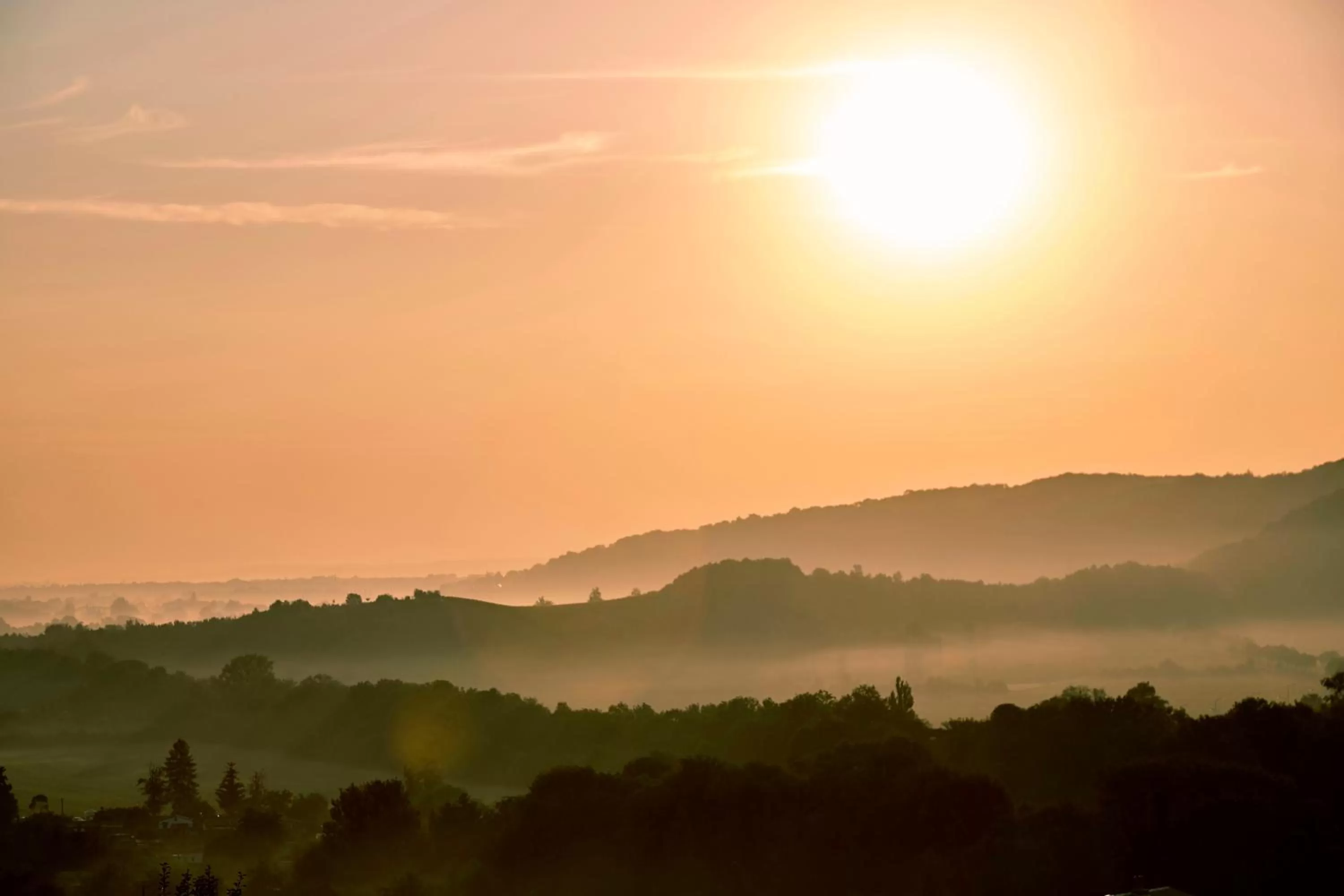 View (from property/room) in Flair Hotel Villa Ilske