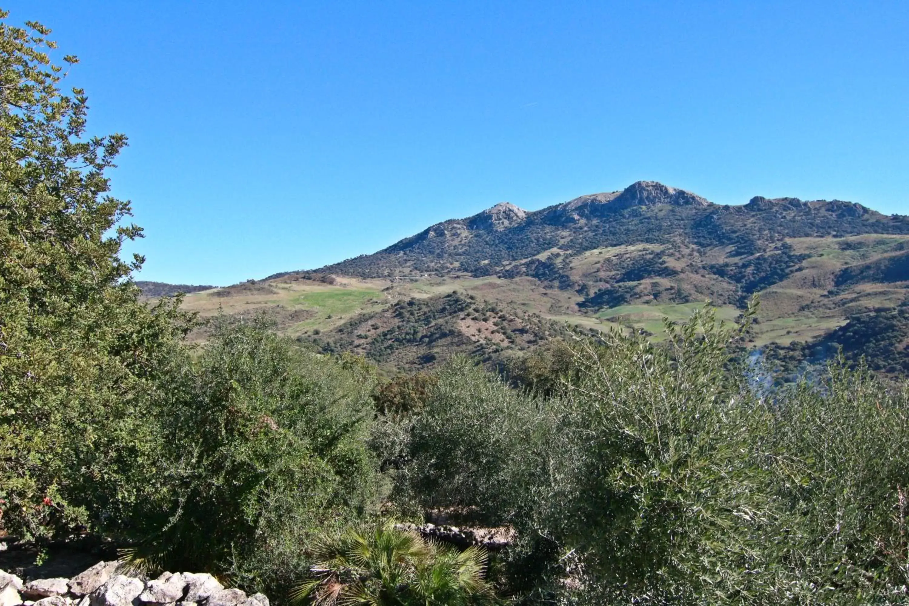 Natural landscape, Mountain View in Casas Rurales Los Algarrobales