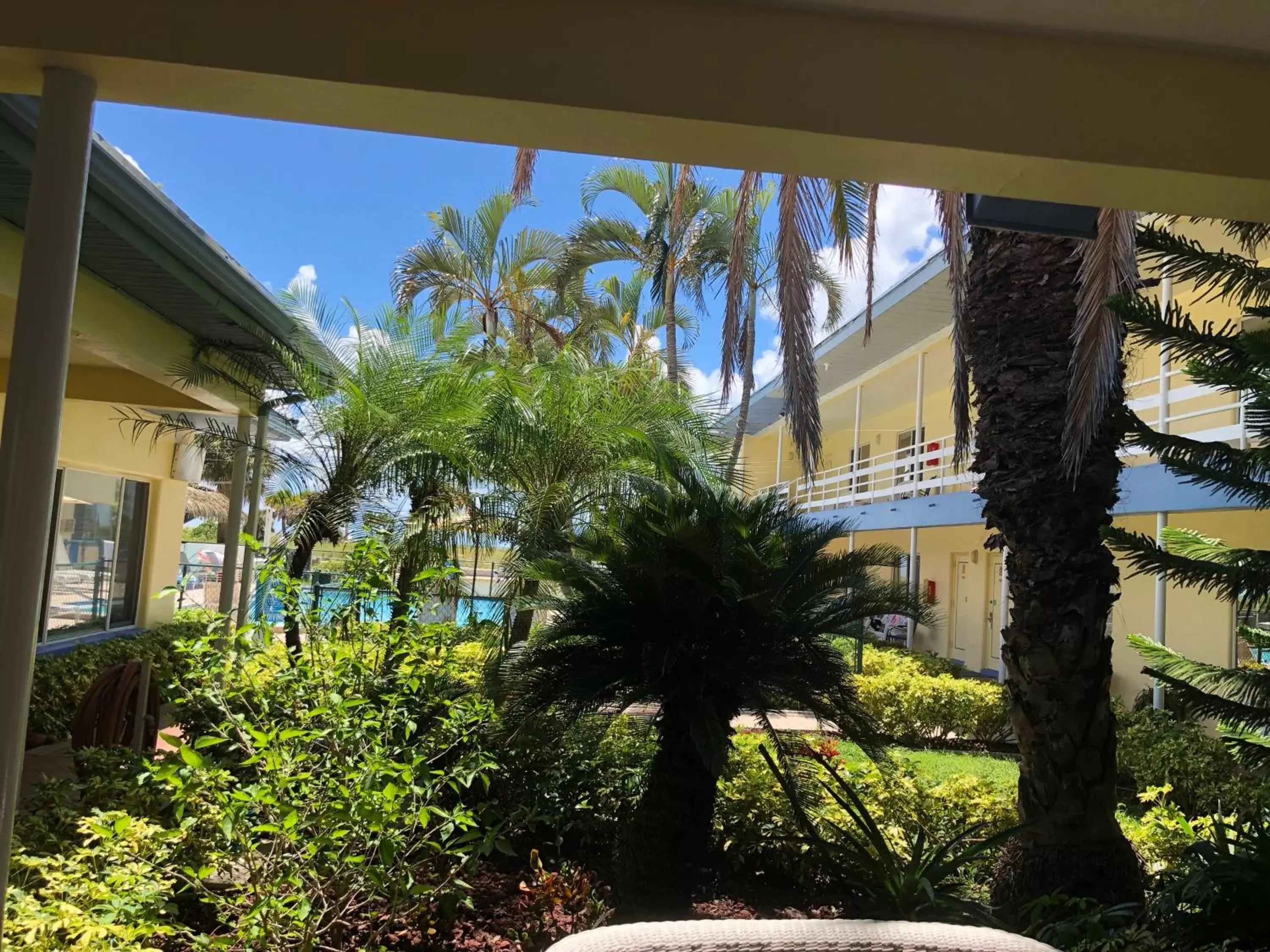 Garden, Pool View in Arvilla Motel