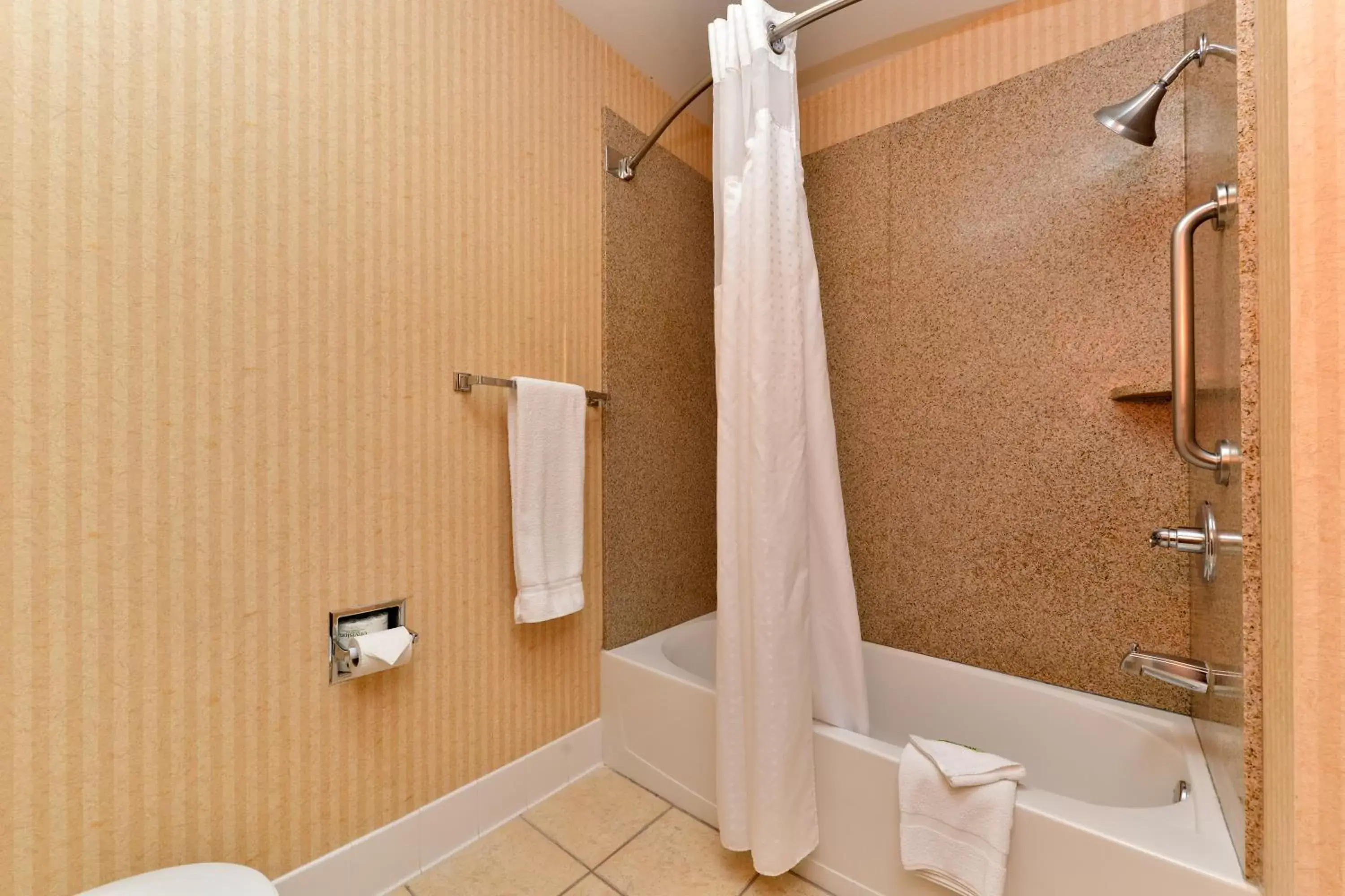 Bathroom in HOLIDAY INN EXPRESS & SUITES ELK GROVE CENTRAL - HWY 99, an IHG Hotel