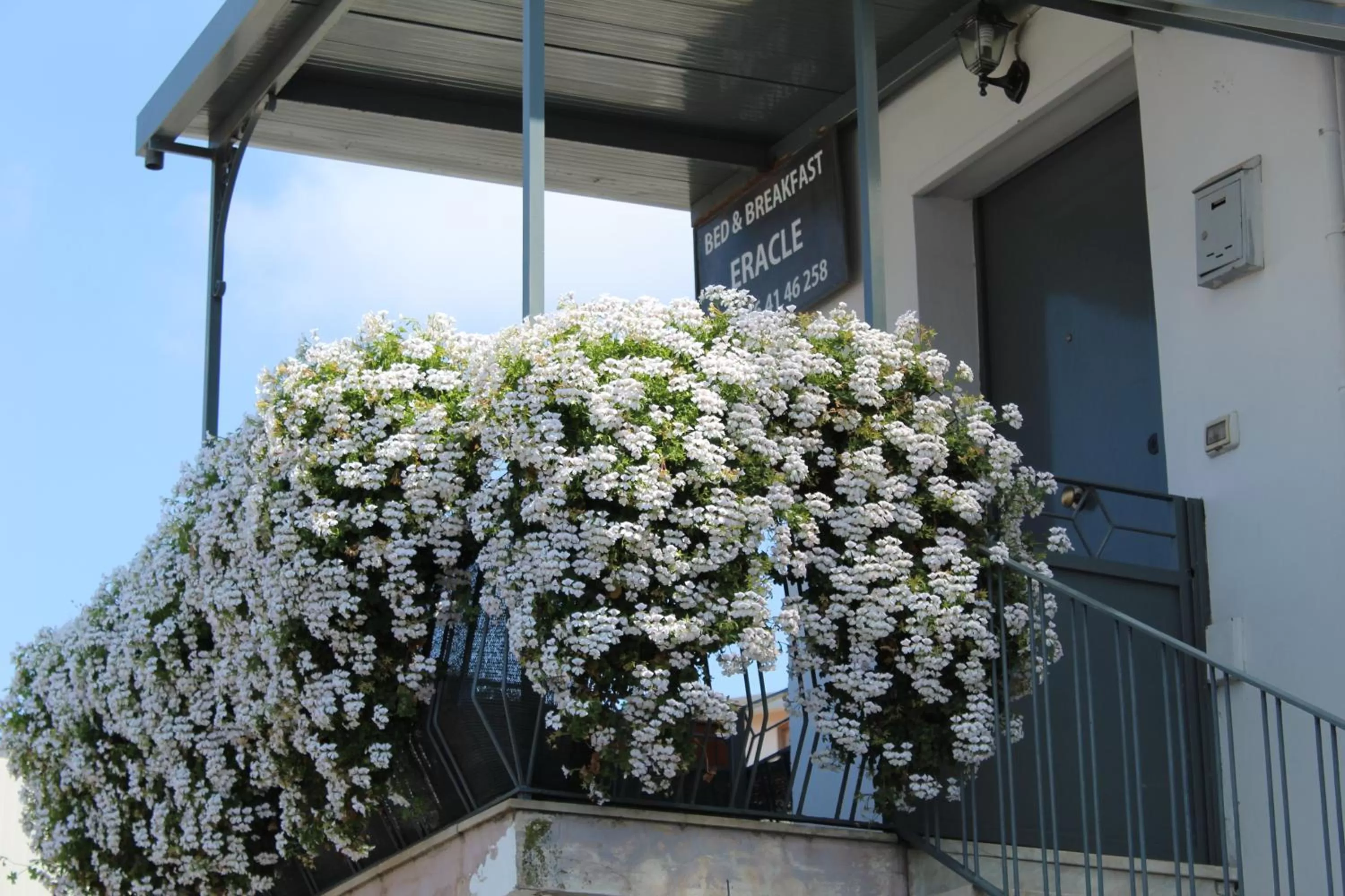 Property building in B&B Eracle