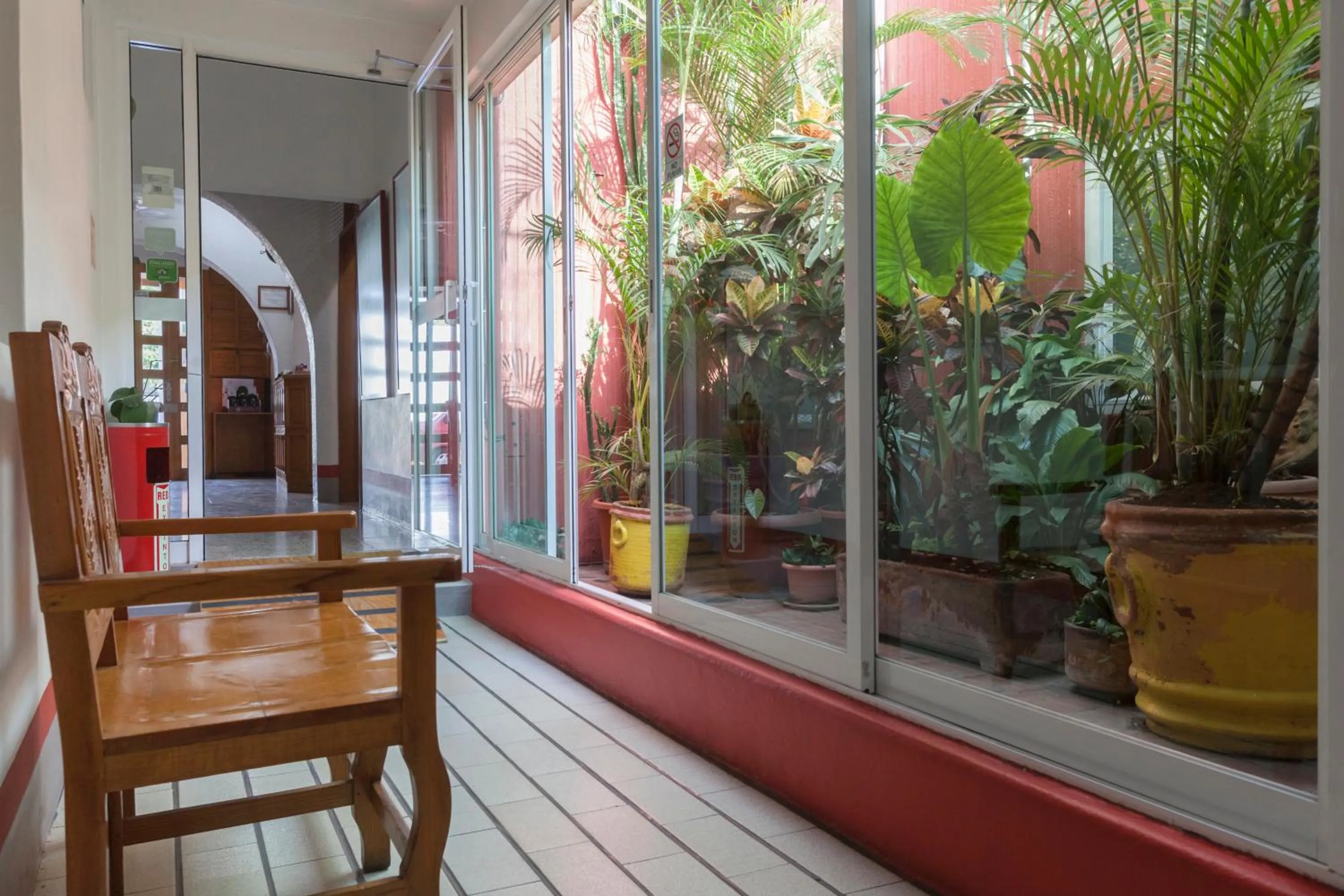 Garden in Hotel Posada el Cid