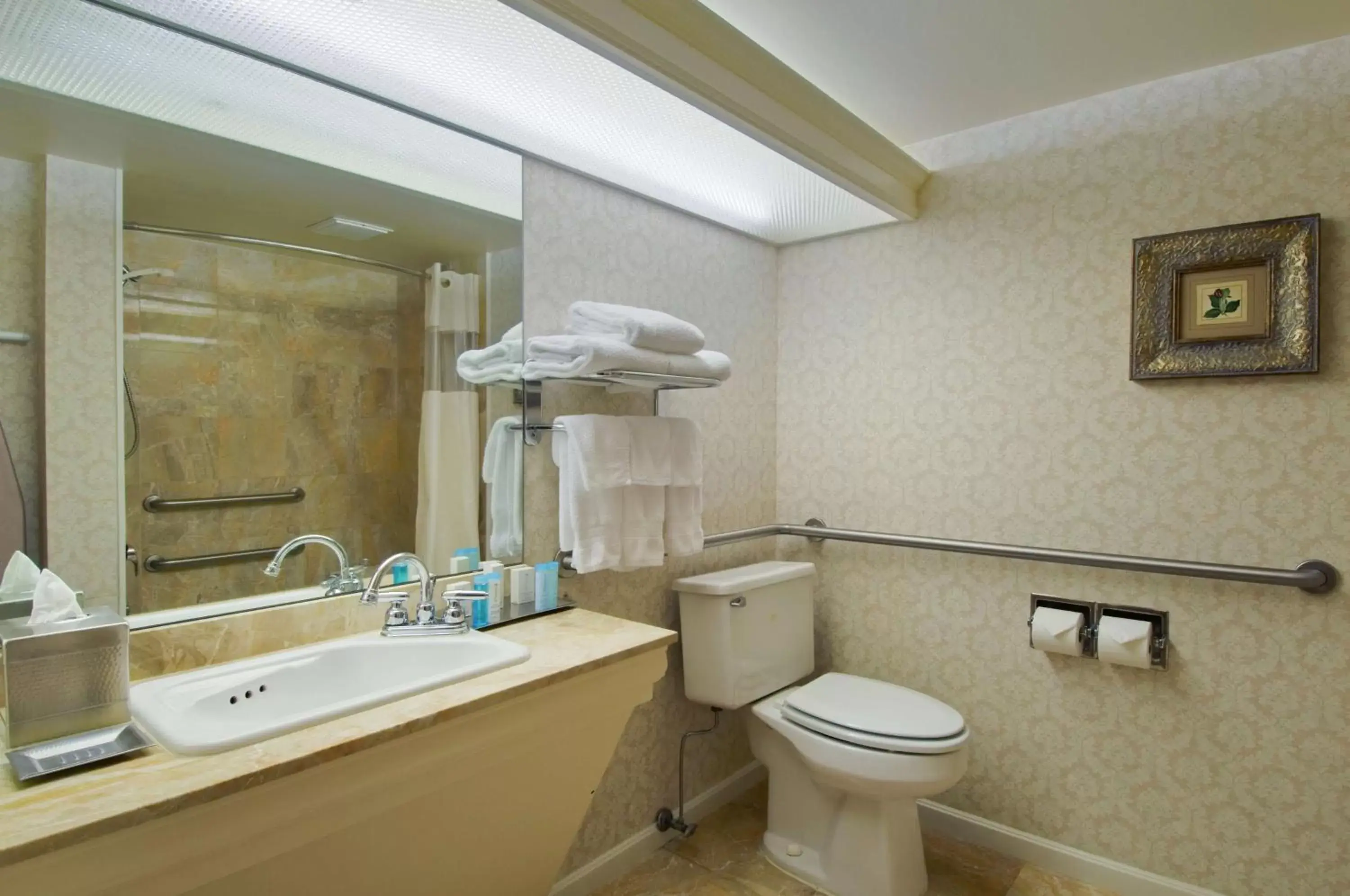 Bathroom in Hilton Akron/Fairlawn