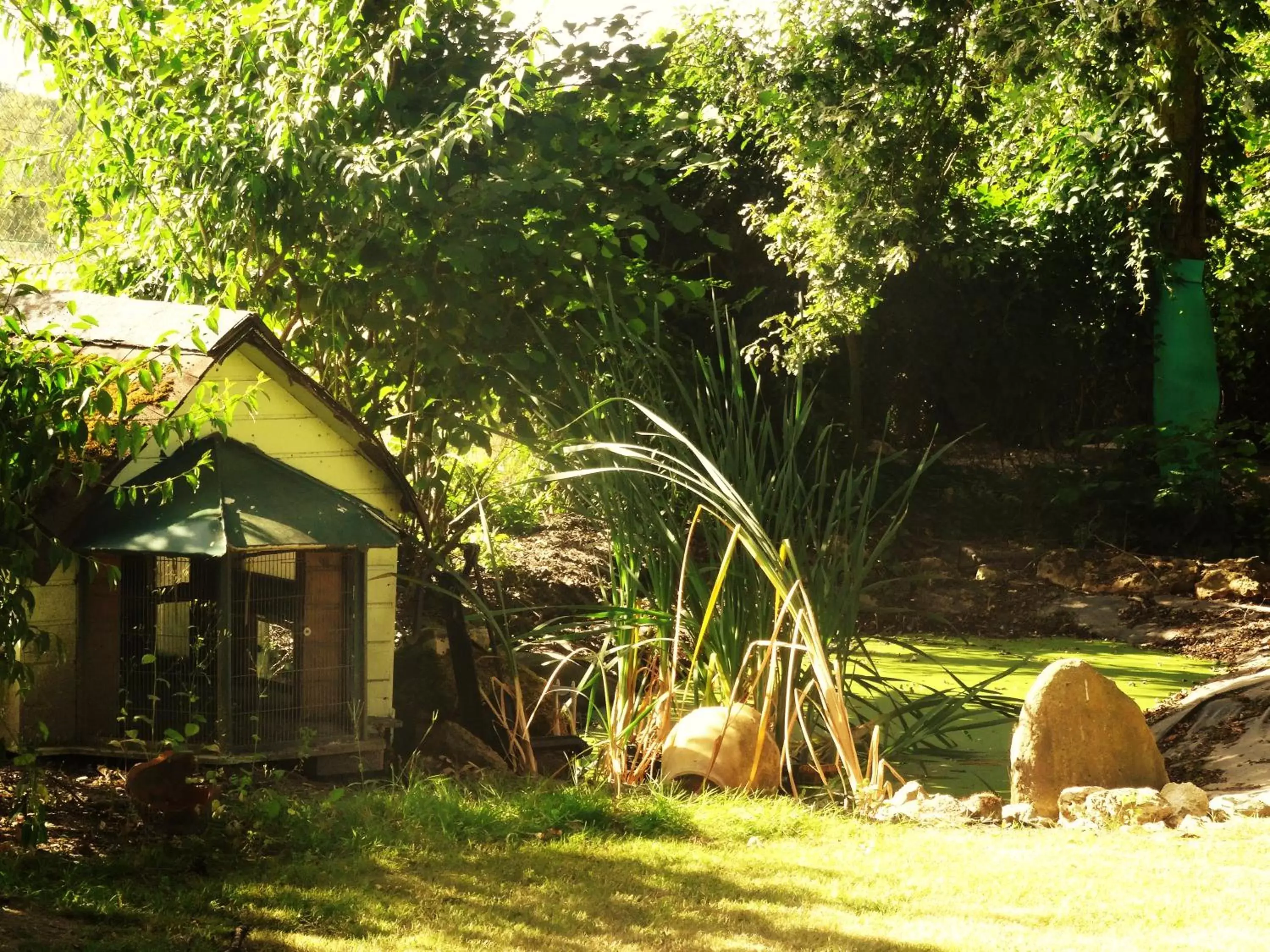 Garden in Villa La Clef Des Champs