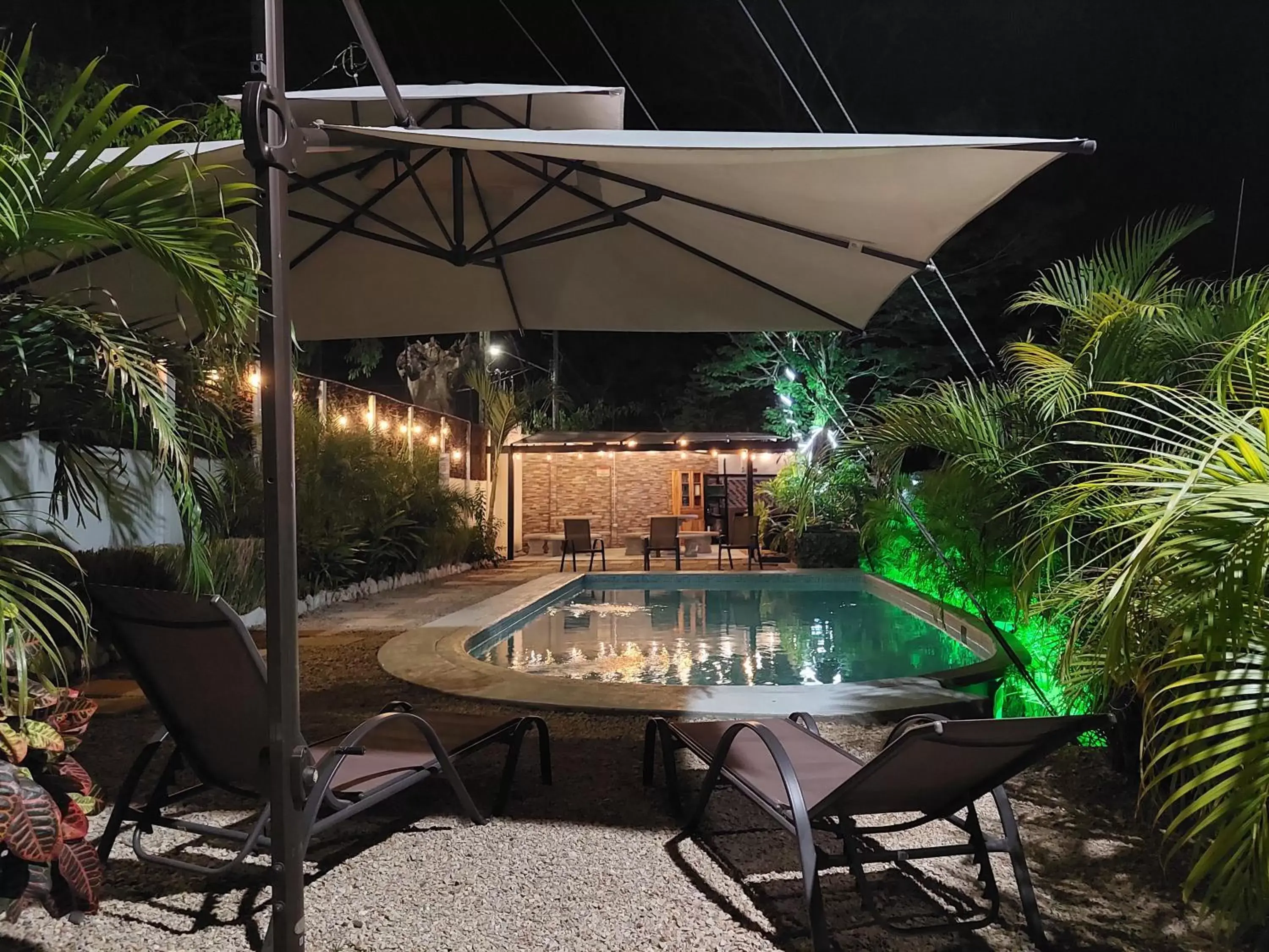 Pool view, Swimming Pool in Hotel Casa Carlota Tamarindo