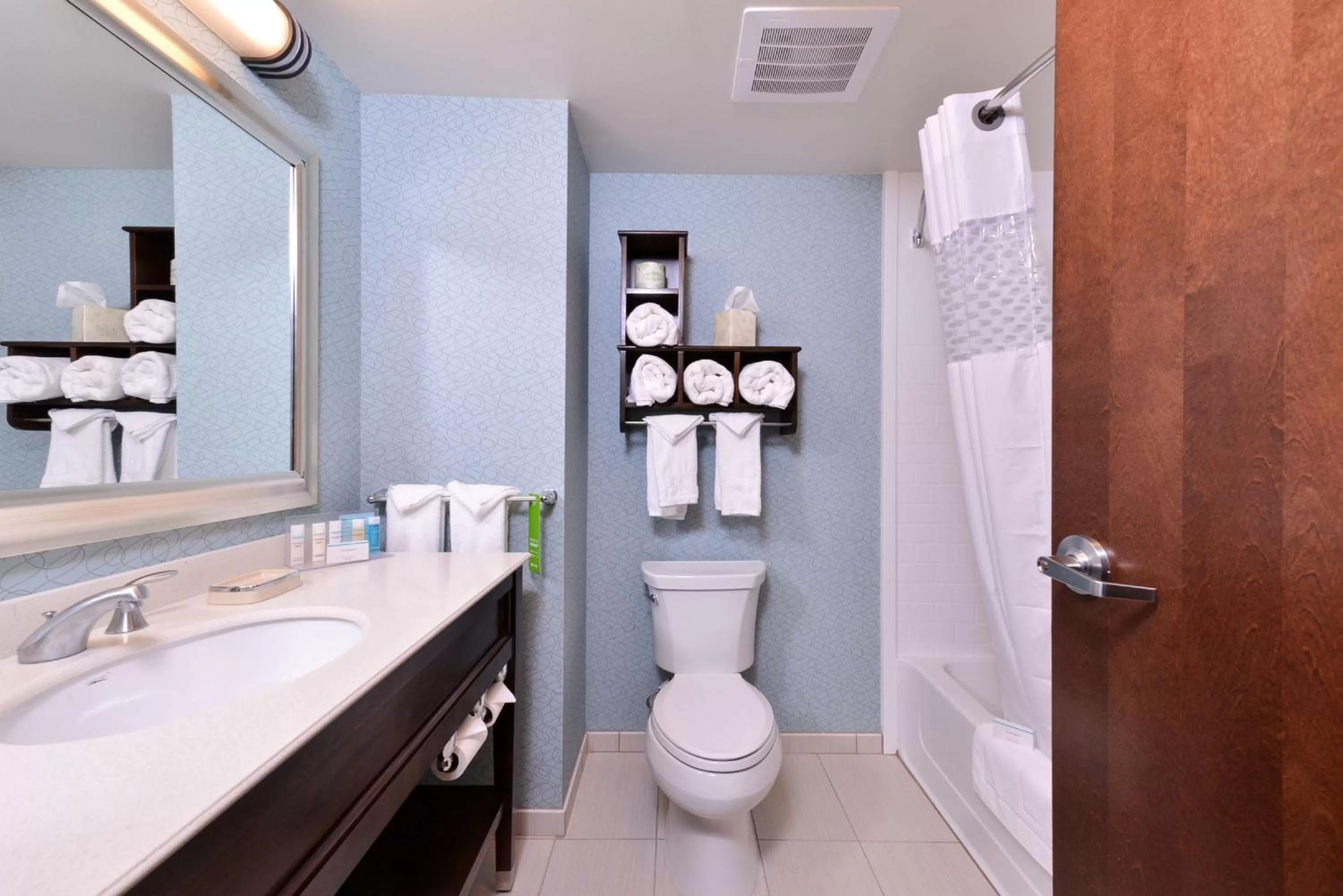 Bathroom in Hampton Inn Rome