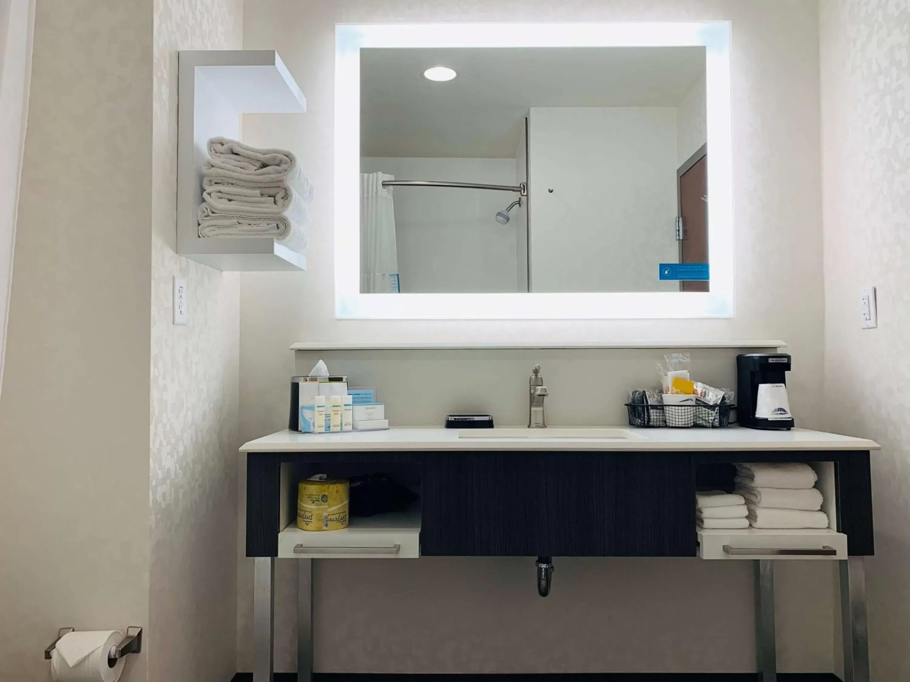 Bathroom, Kitchen/Kitchenette in Hampton Inn Fort Stockton