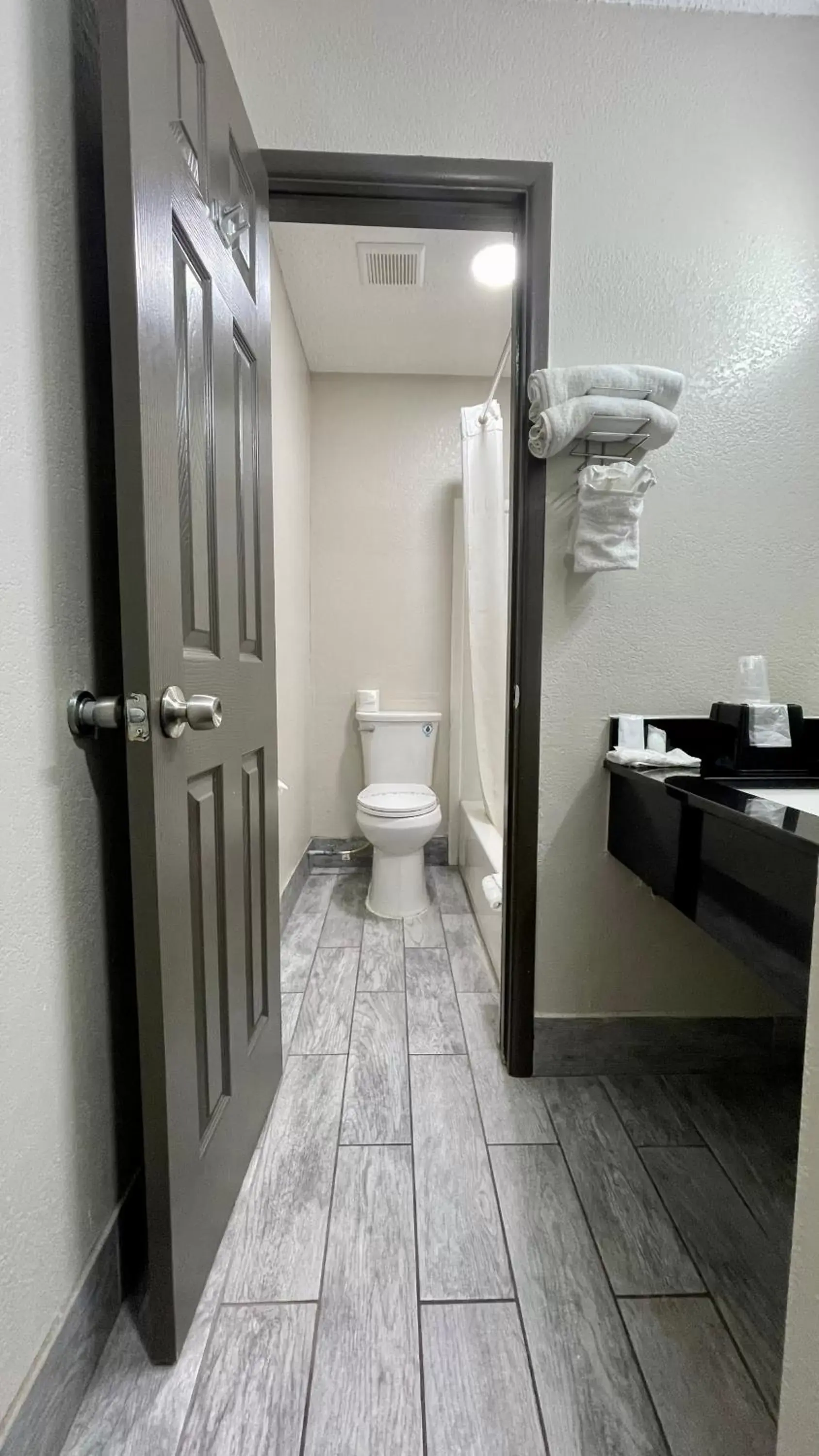 Shower, Bathroom in Rodeway Inn Georgetown