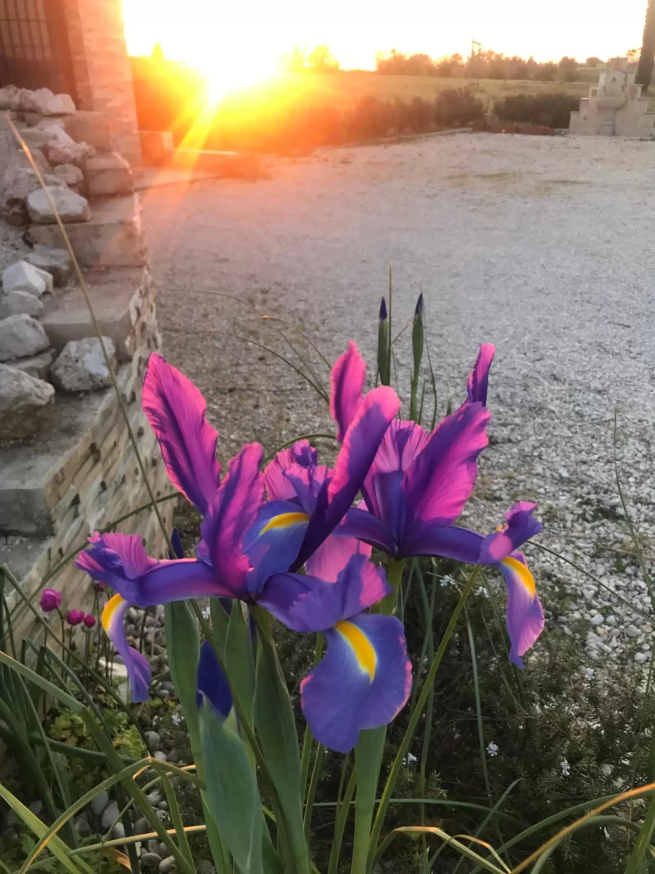 Sunset in La collina delle fonti