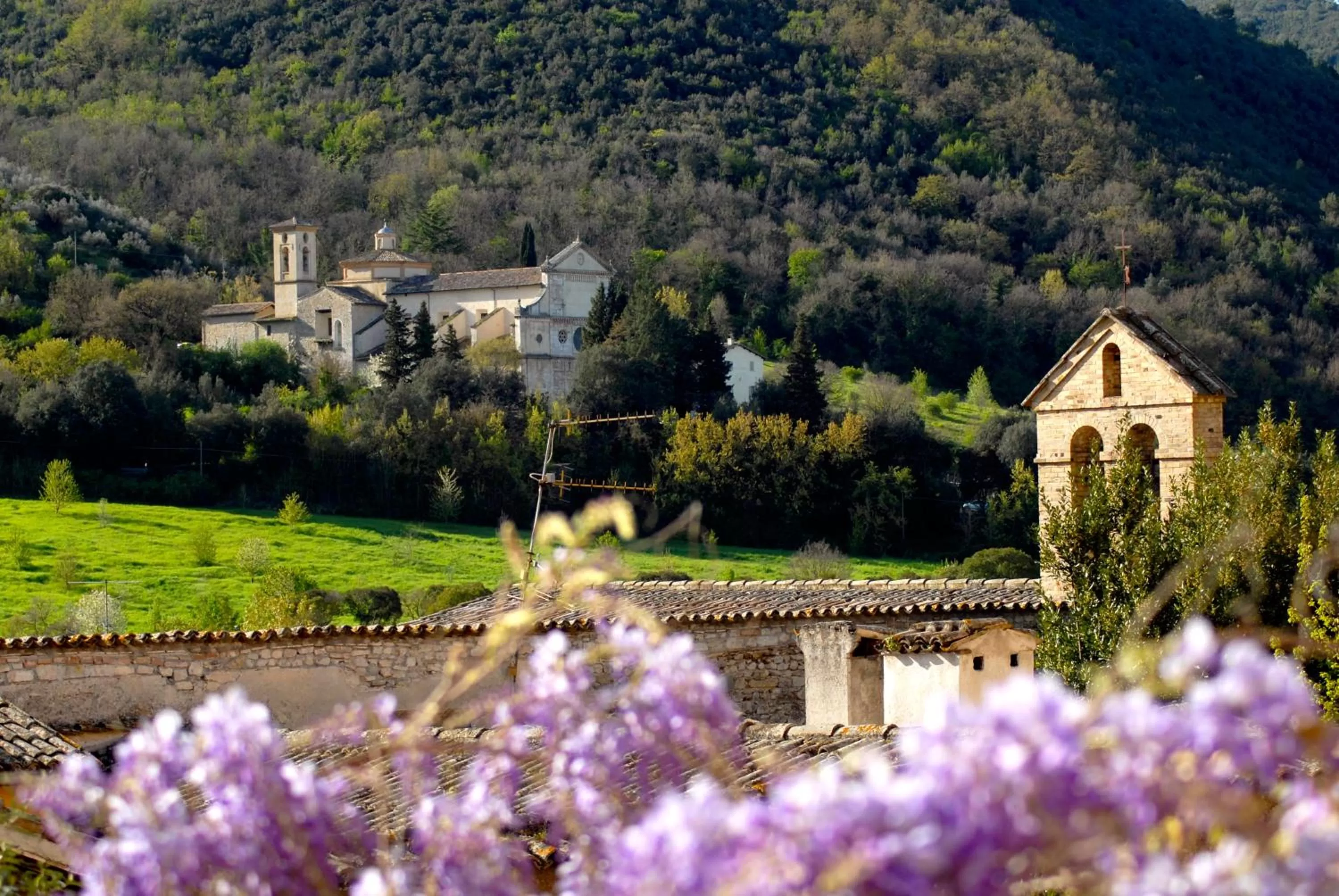 Garden view, Property Building in Palazzo Sant'Angelo