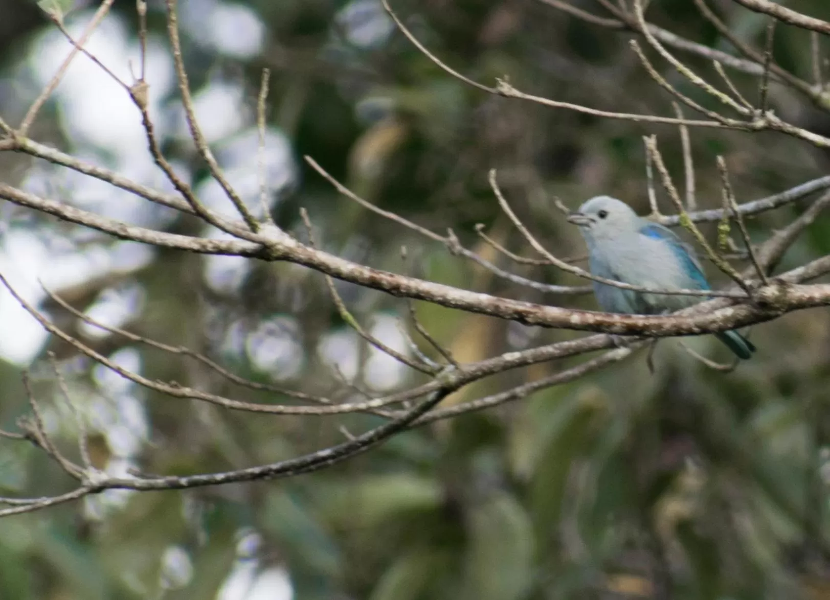 Bird's eye view in Hotel Kokoro Mineral Hot Springs
