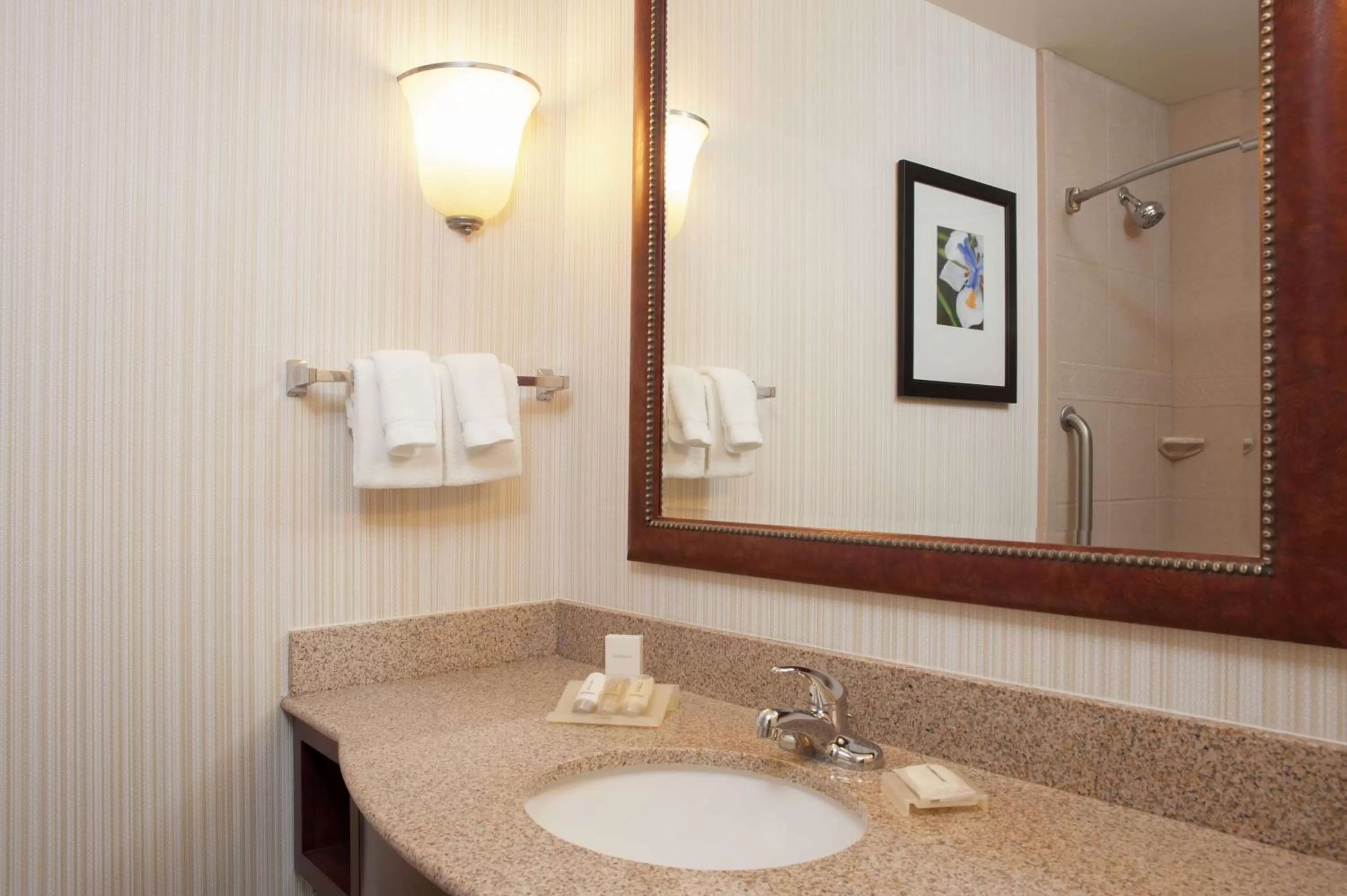 Bathroom in Hilton Garden Inn St. Paul Oakdale