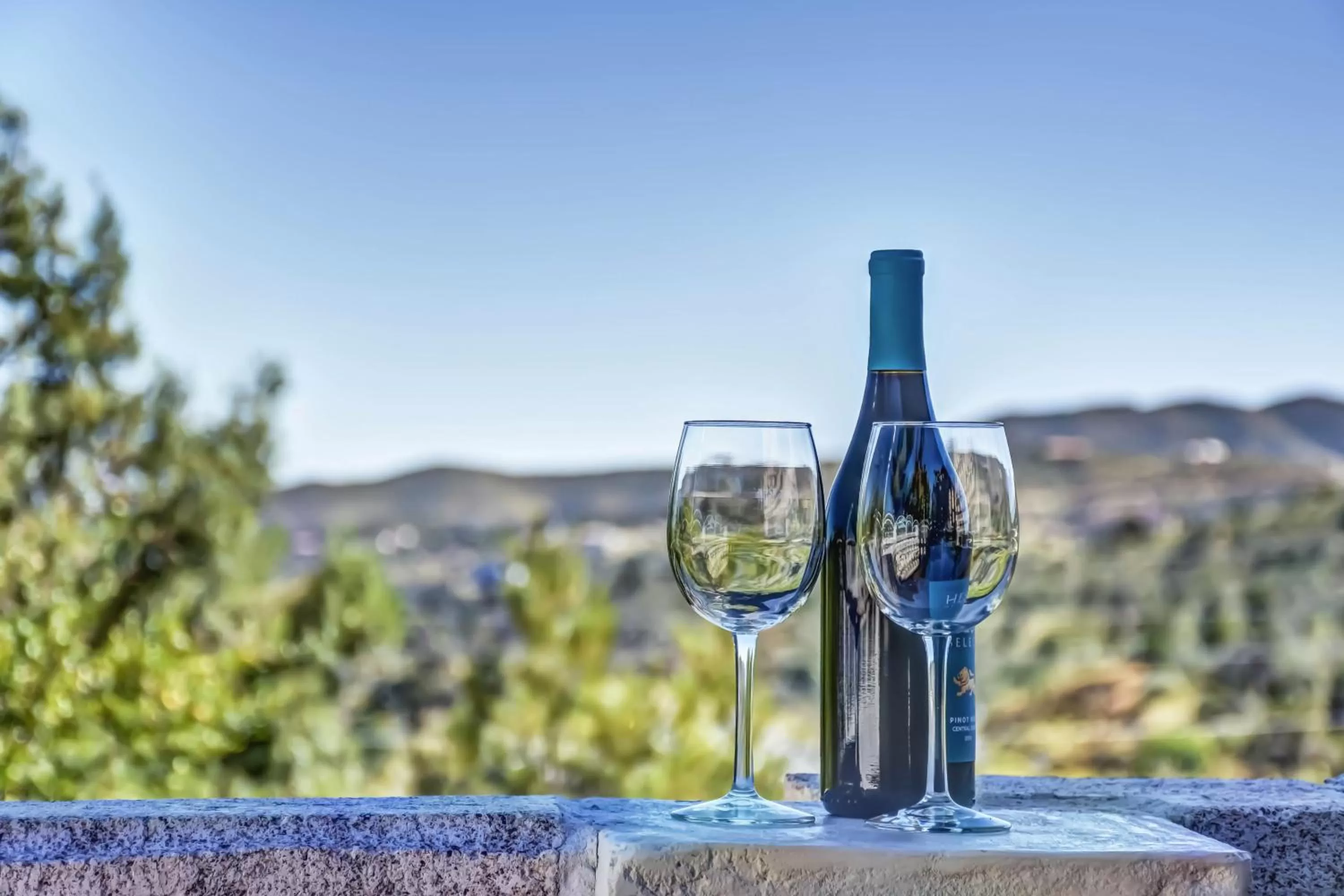 Garden view in Forest Villas Hotel