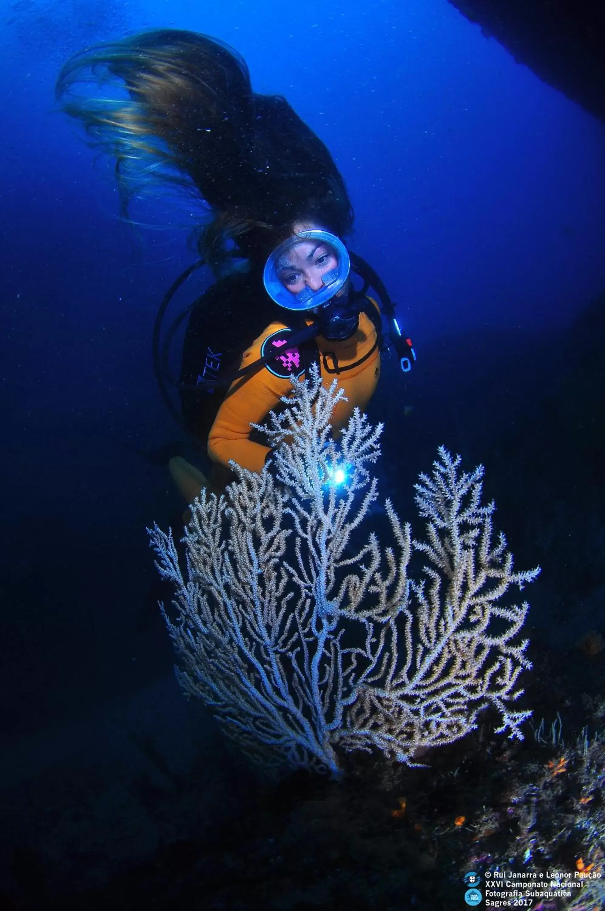 Snorkeling in PuraVida Divehouse