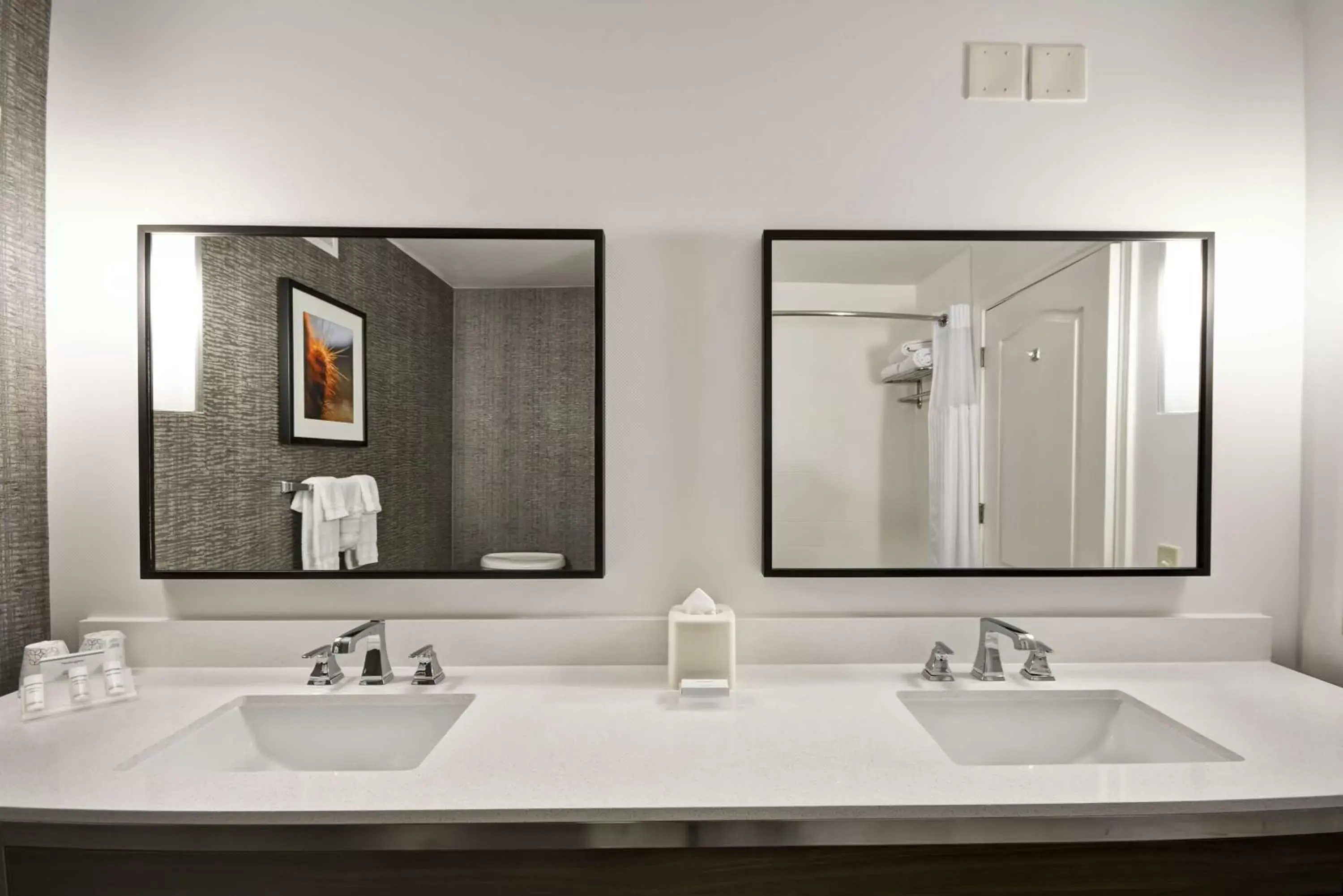 Bathroom in Hilton Garden Inn Austin Round Rock