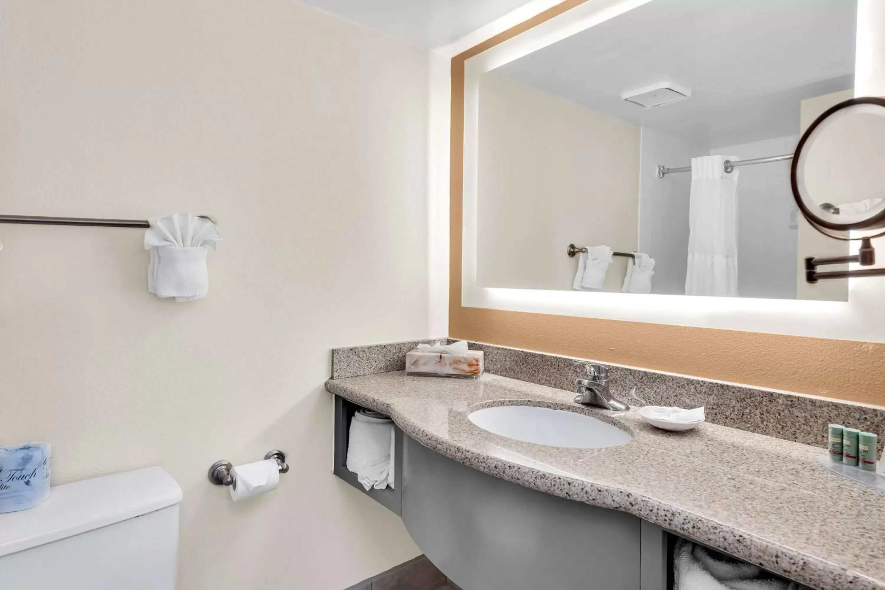 Bathroom in Best Western Orlando Gateway Hotel
