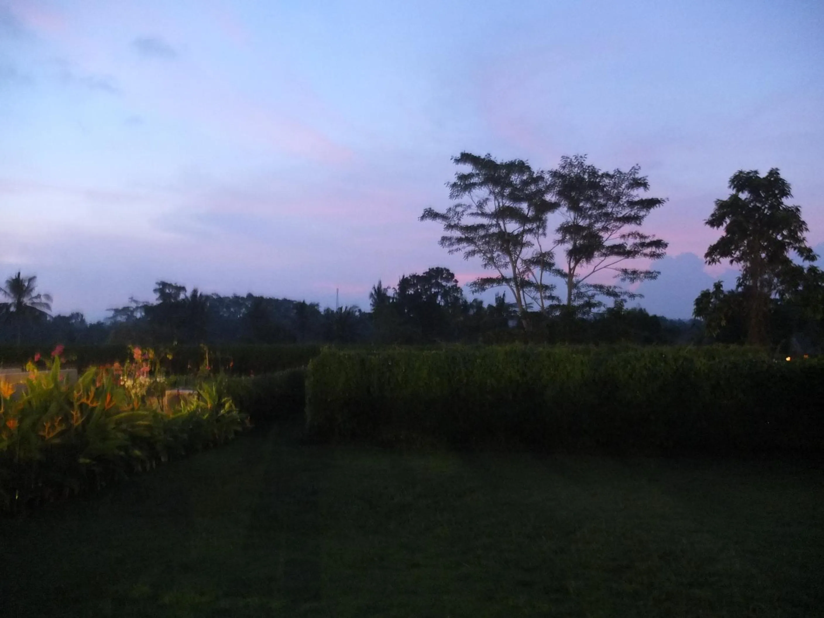 Garden in Ubud Wana Resort