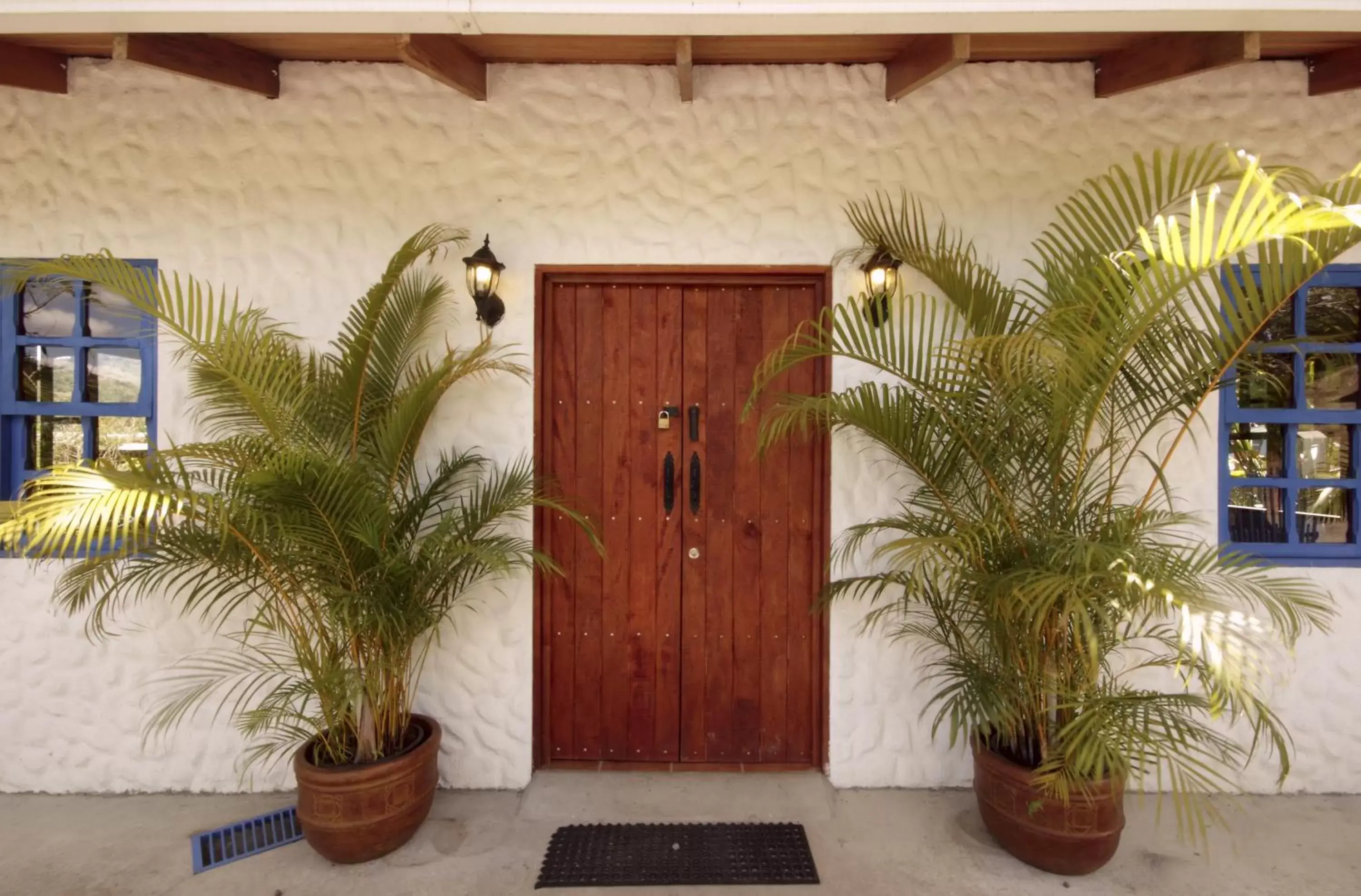 Cottage in Orosi Lodge Cottage in Orosi Lodge