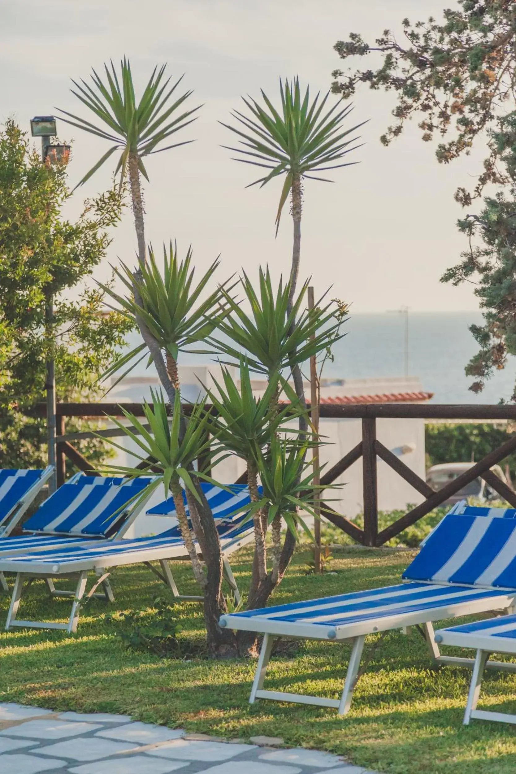 Solarium, Swimming Pool in Hotel Ideal