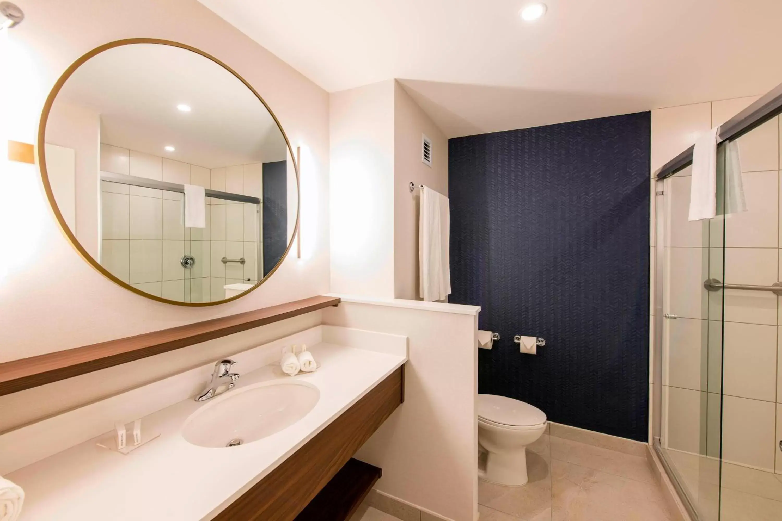 Bathroom in Fairfield Inn & Suites by Marriott Tijuana