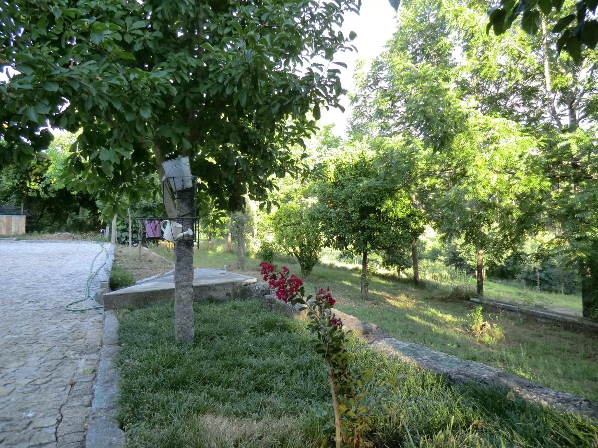 Garden view in VianasHome