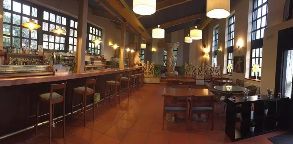 Lounge or bar in Hotel Sara De Ur