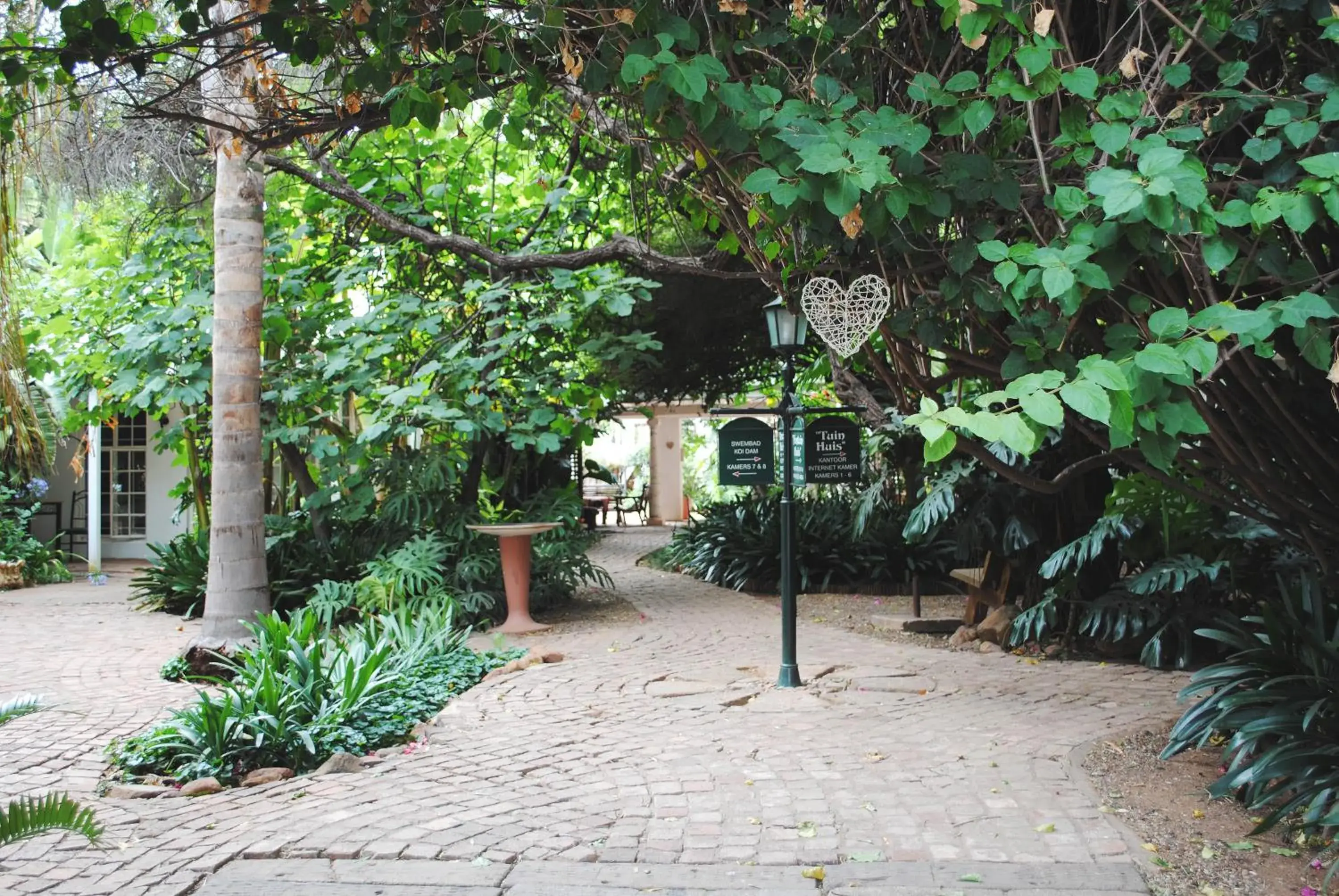 Garden in Brooklyn Guesthouses