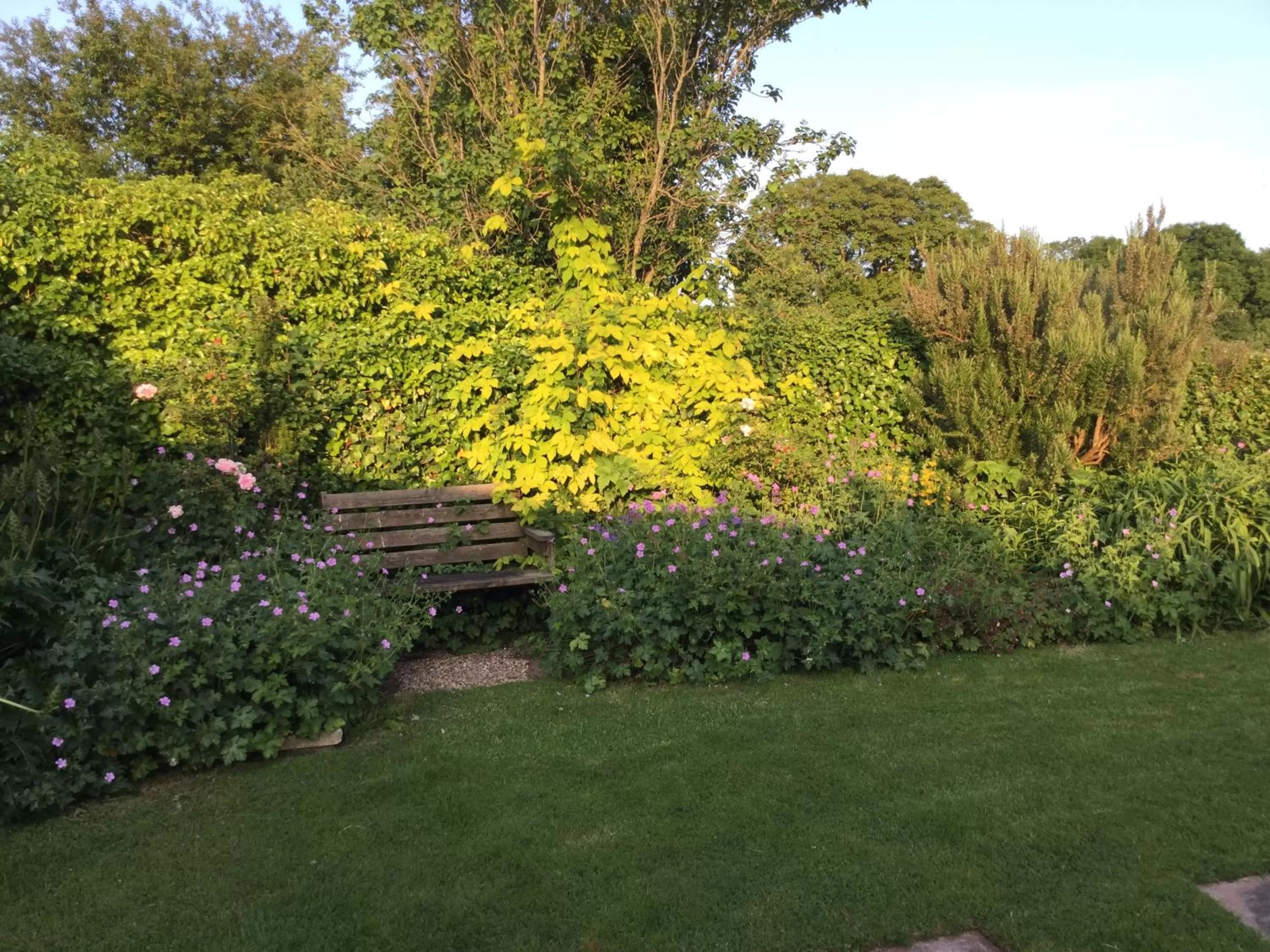 Property building, Garden in Steps Farmhouse B&B