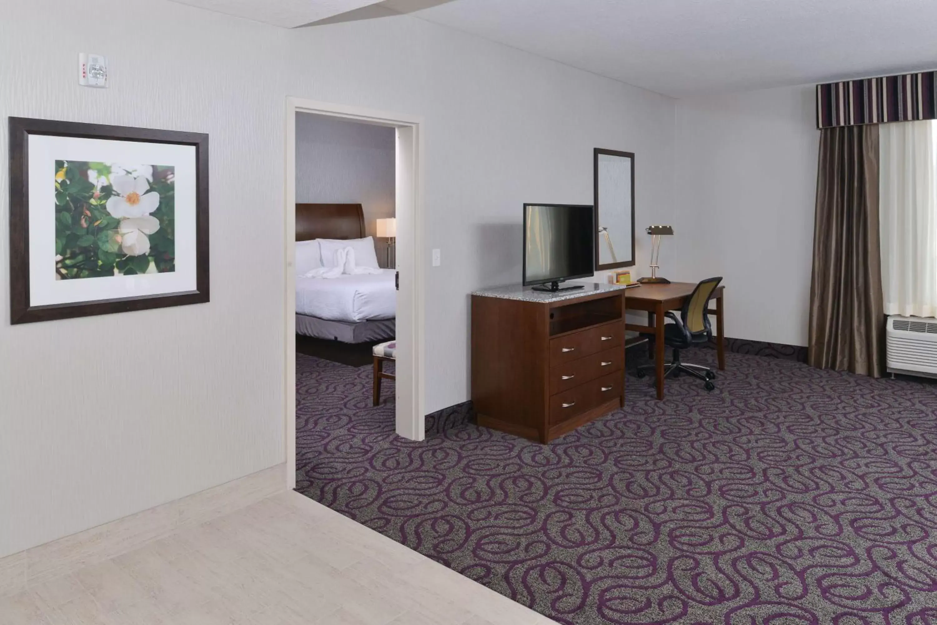 Bedroom, TV/Entertainment Center in Hilton Garden Inn Hobbs