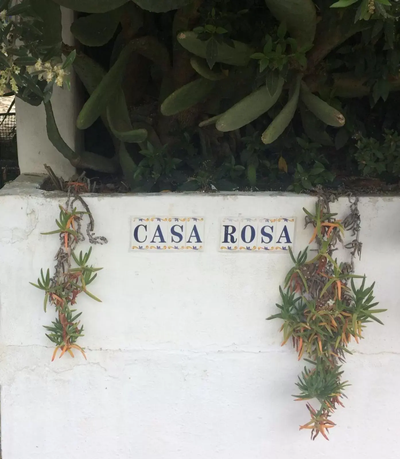 Property Logo/Sign in Casa La Rosa