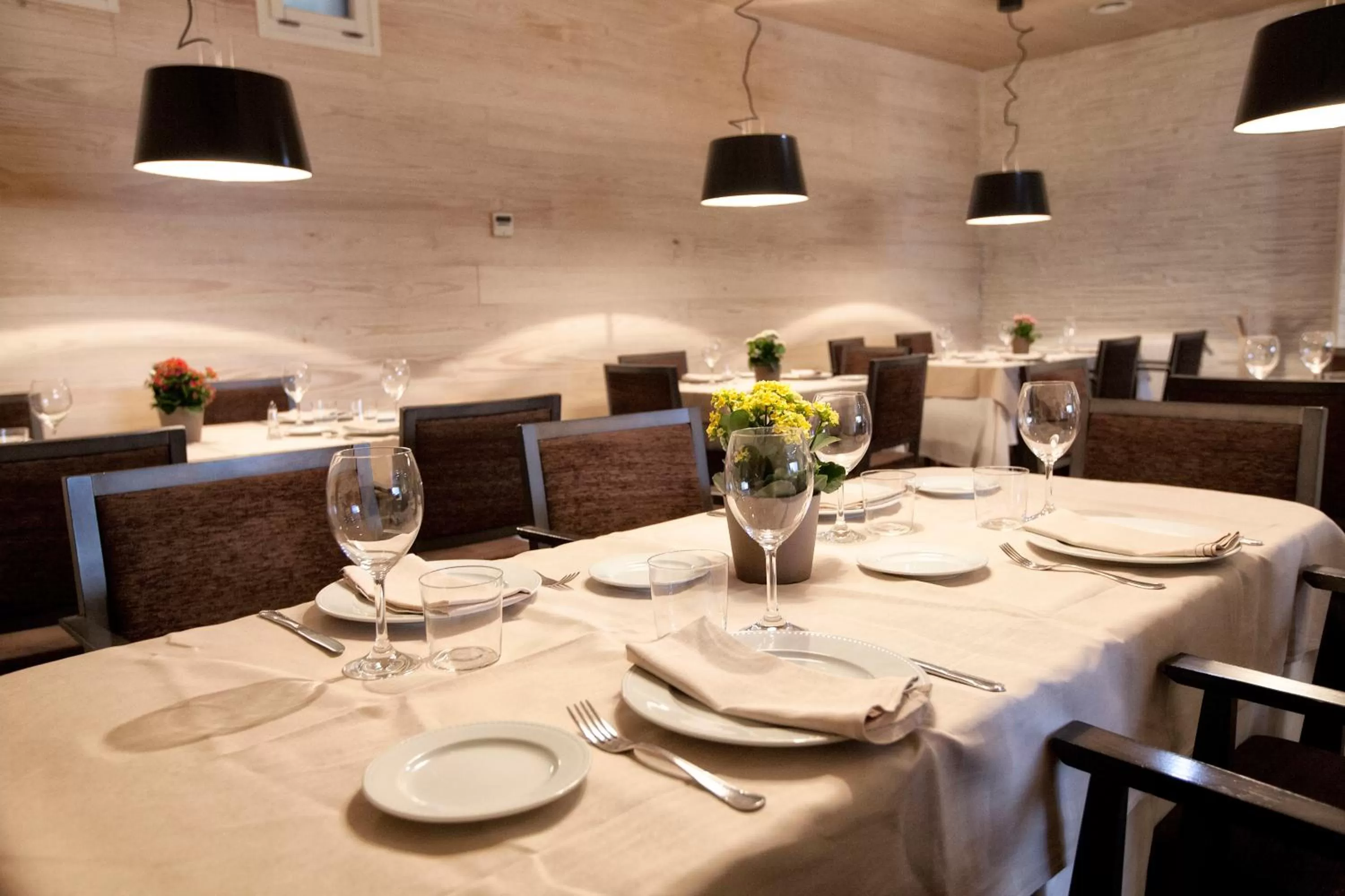 Restaurant/places to eat in Hotel Los Lagos Nature