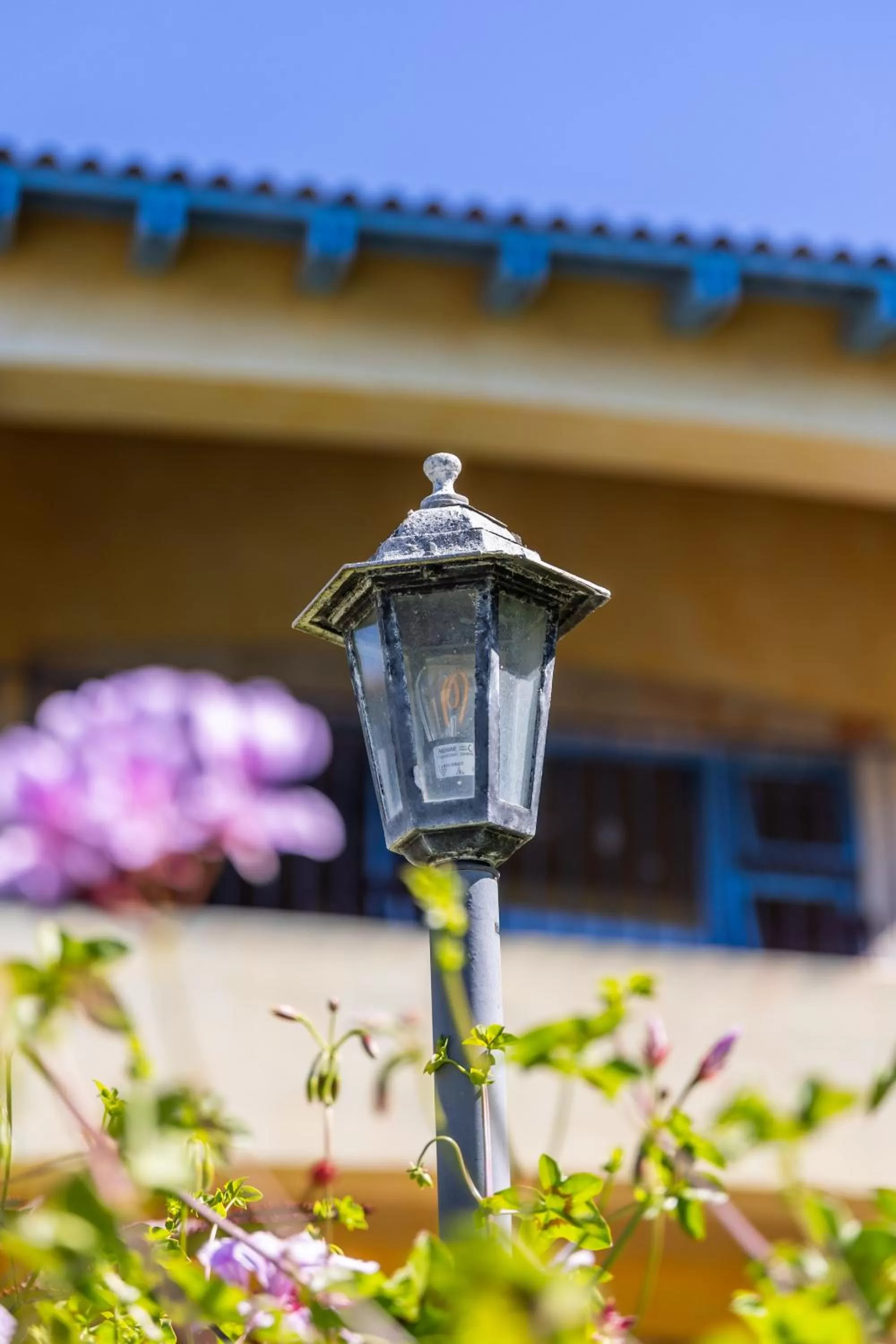 Decorative detail in Gästehaus Pinkepank