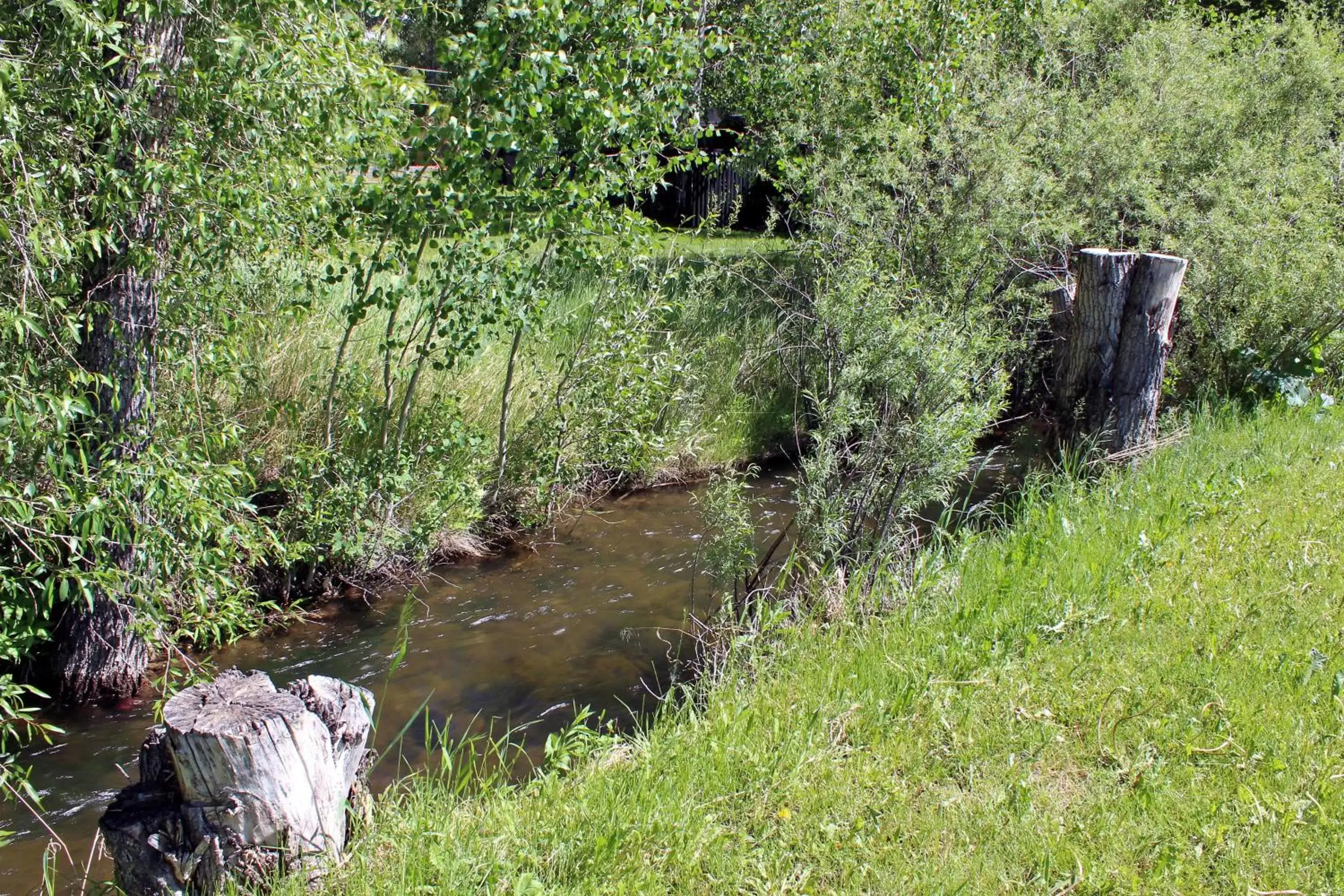 Summer, Natural Landscape in Rodeway Inn Gunnison