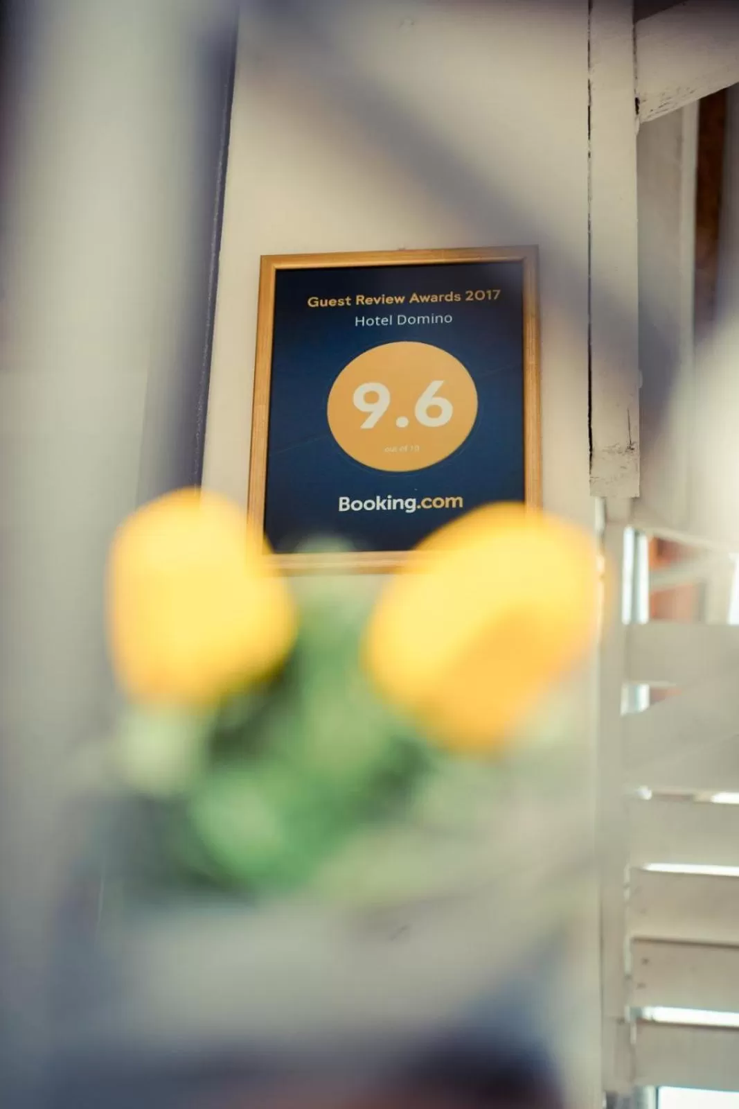 Certificate/Award in Hotel Domino