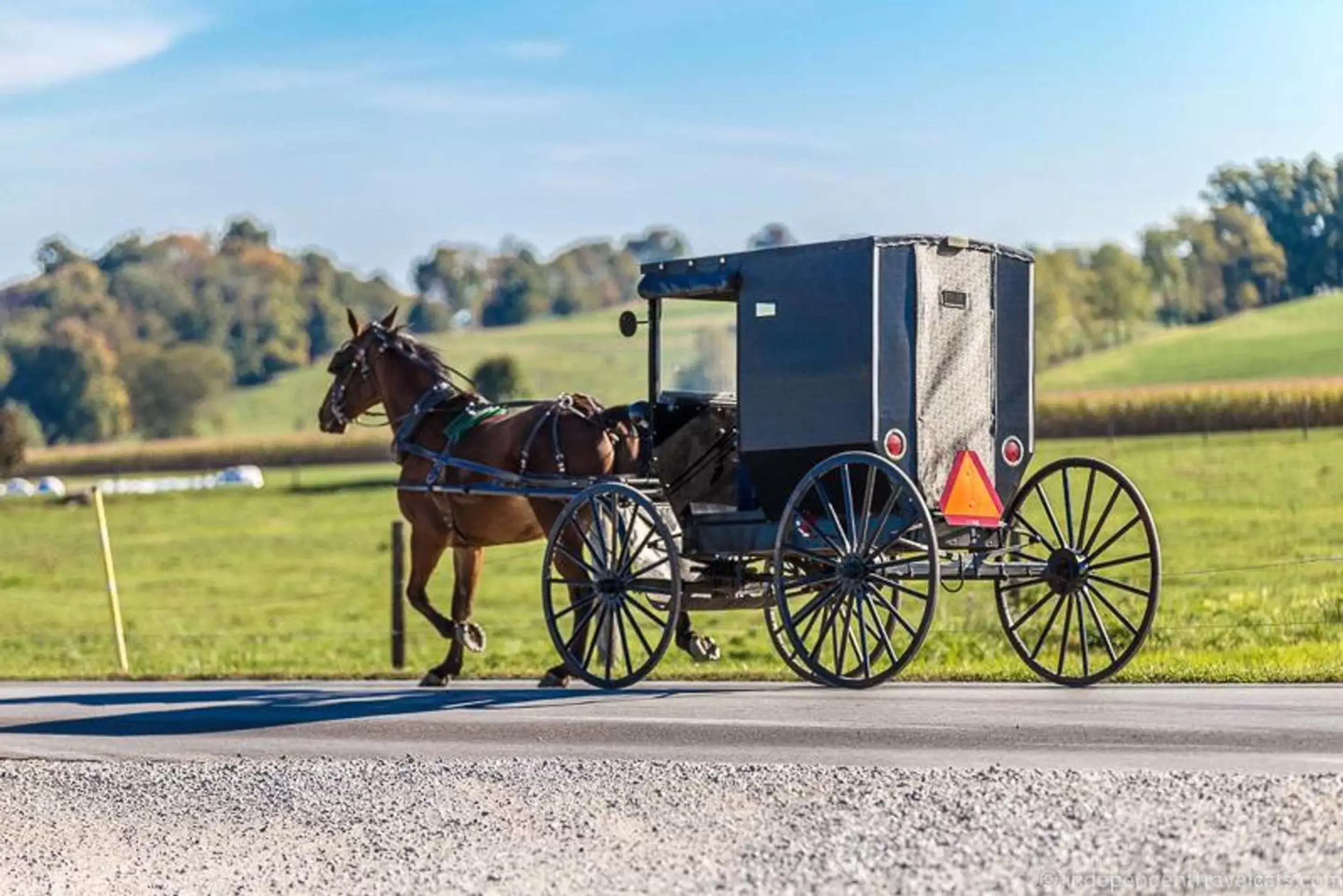 Activities in Blessing Lodge by Amish Country Lodging