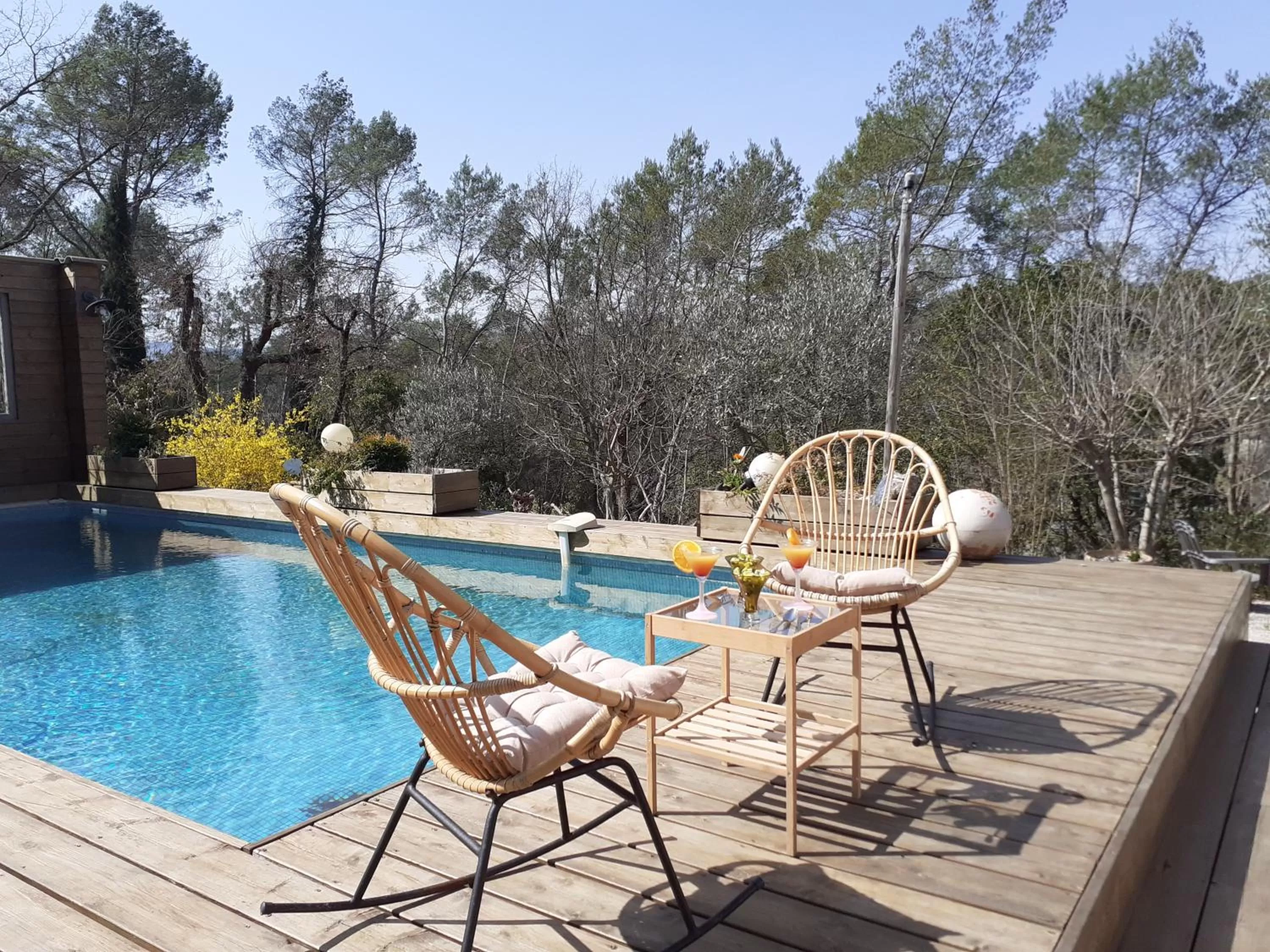 Swimming Pool in La Salamandre en Provence