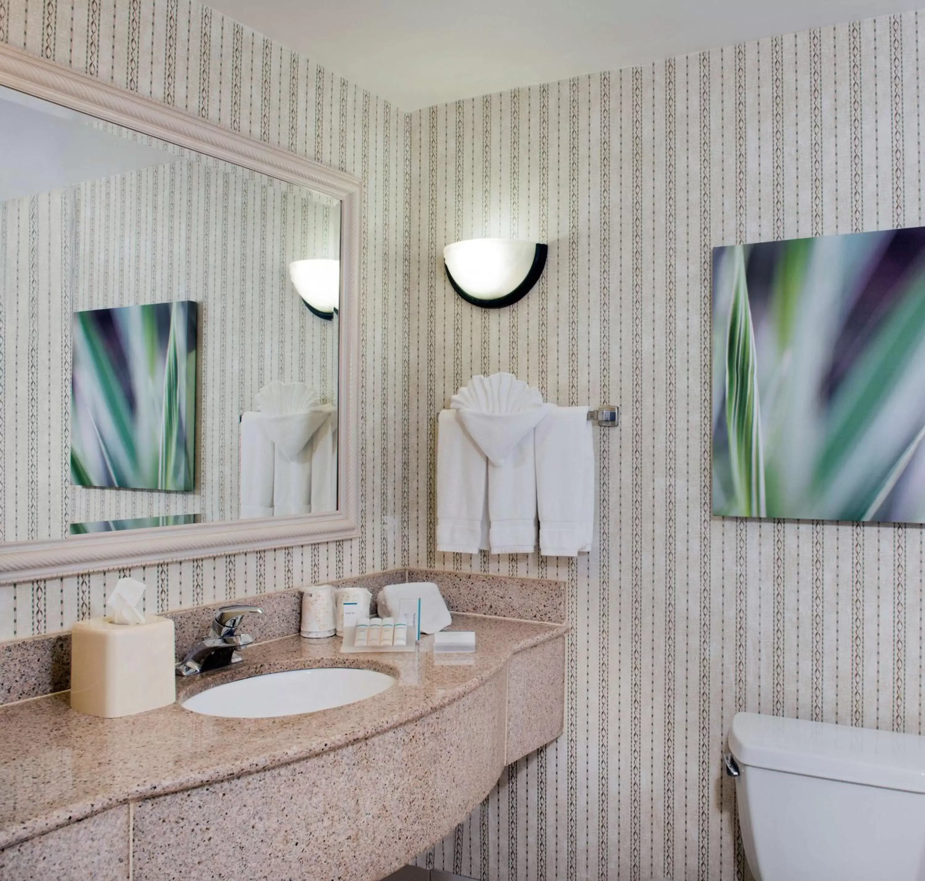 Bathroom in Hilton Garden Inn Rock Hill