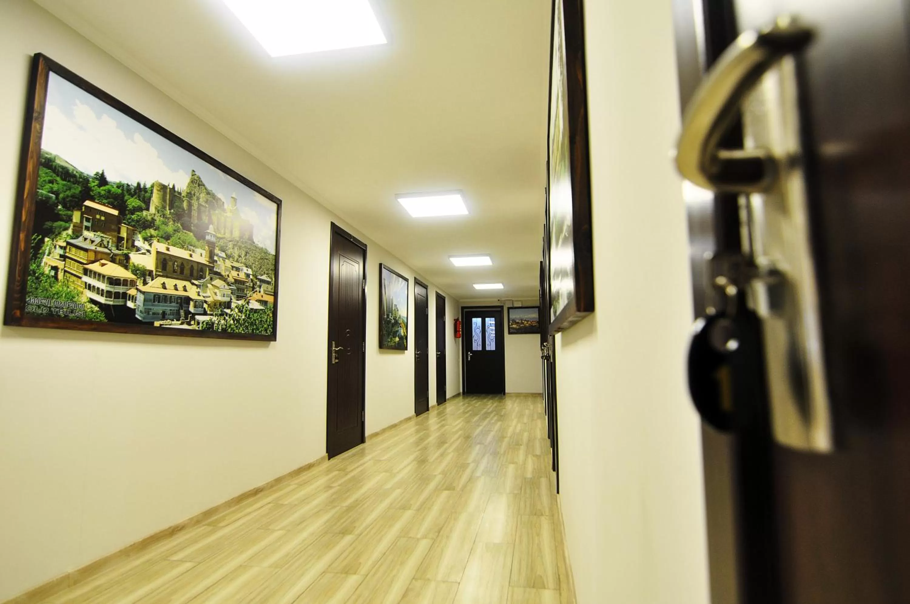 Other in Light Hotel