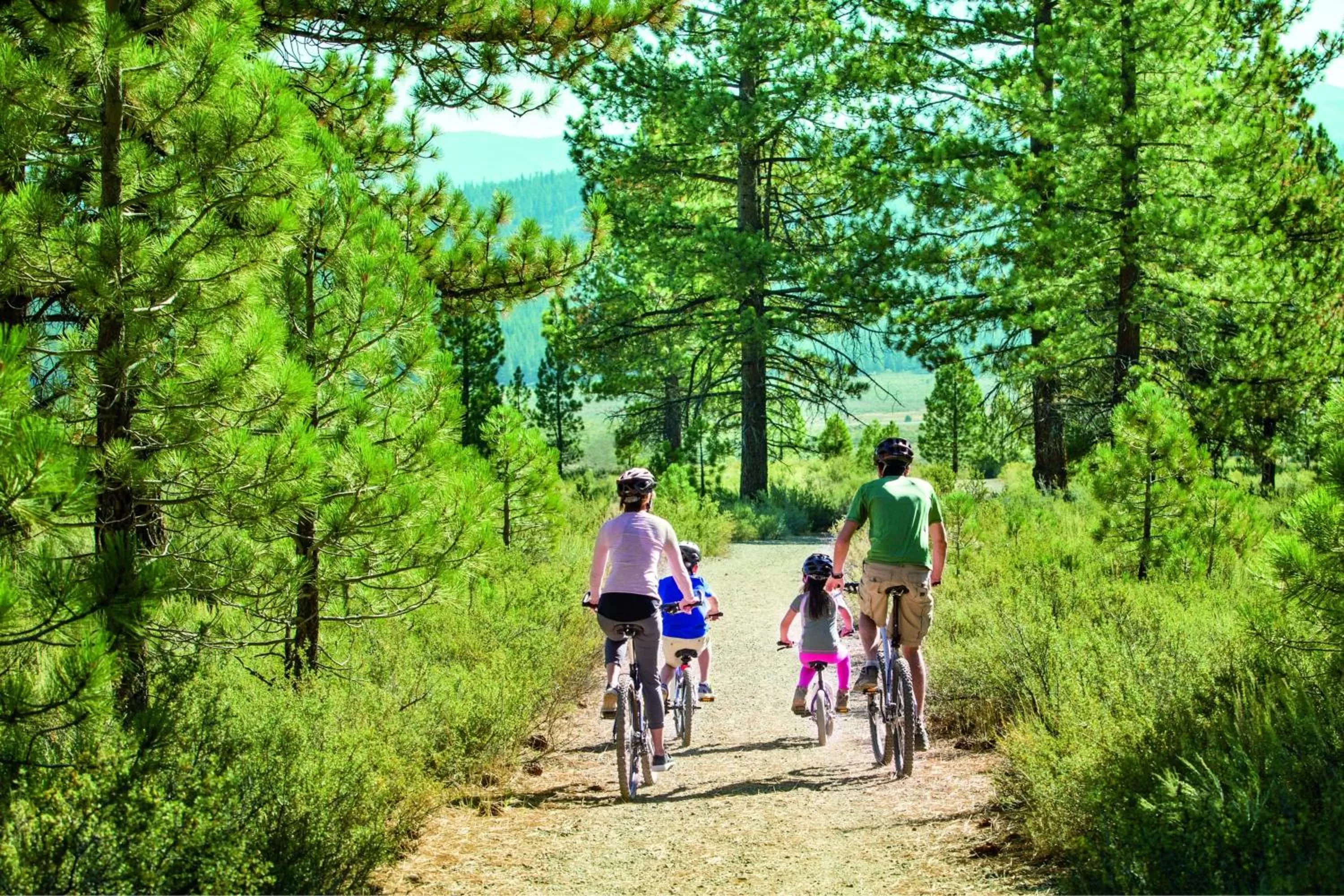 Other in The Ritz-Carlton, Lake Tahoe