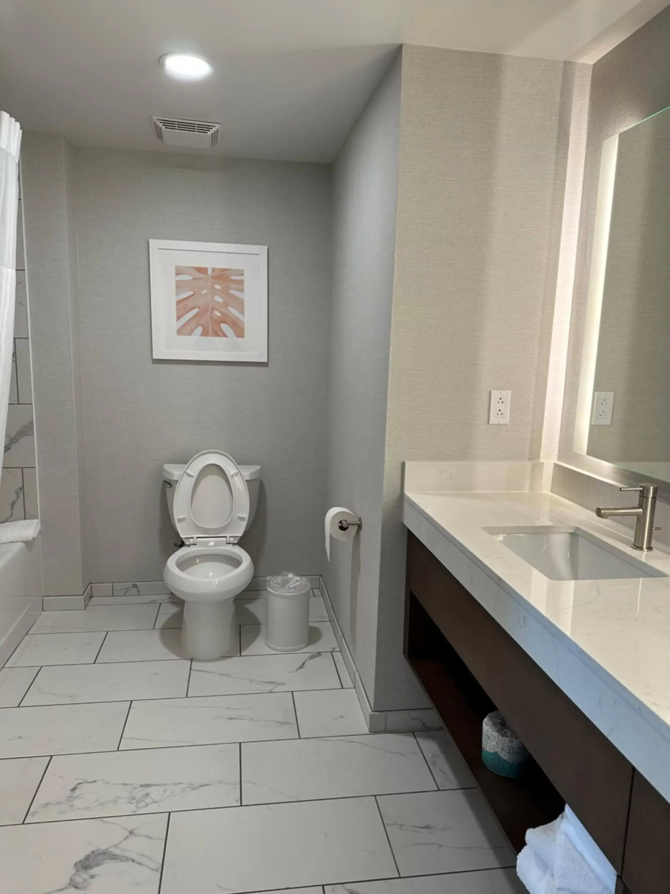 Toilet, Bathroom in Hampton Inn Virginia Beach-Oceanfront South