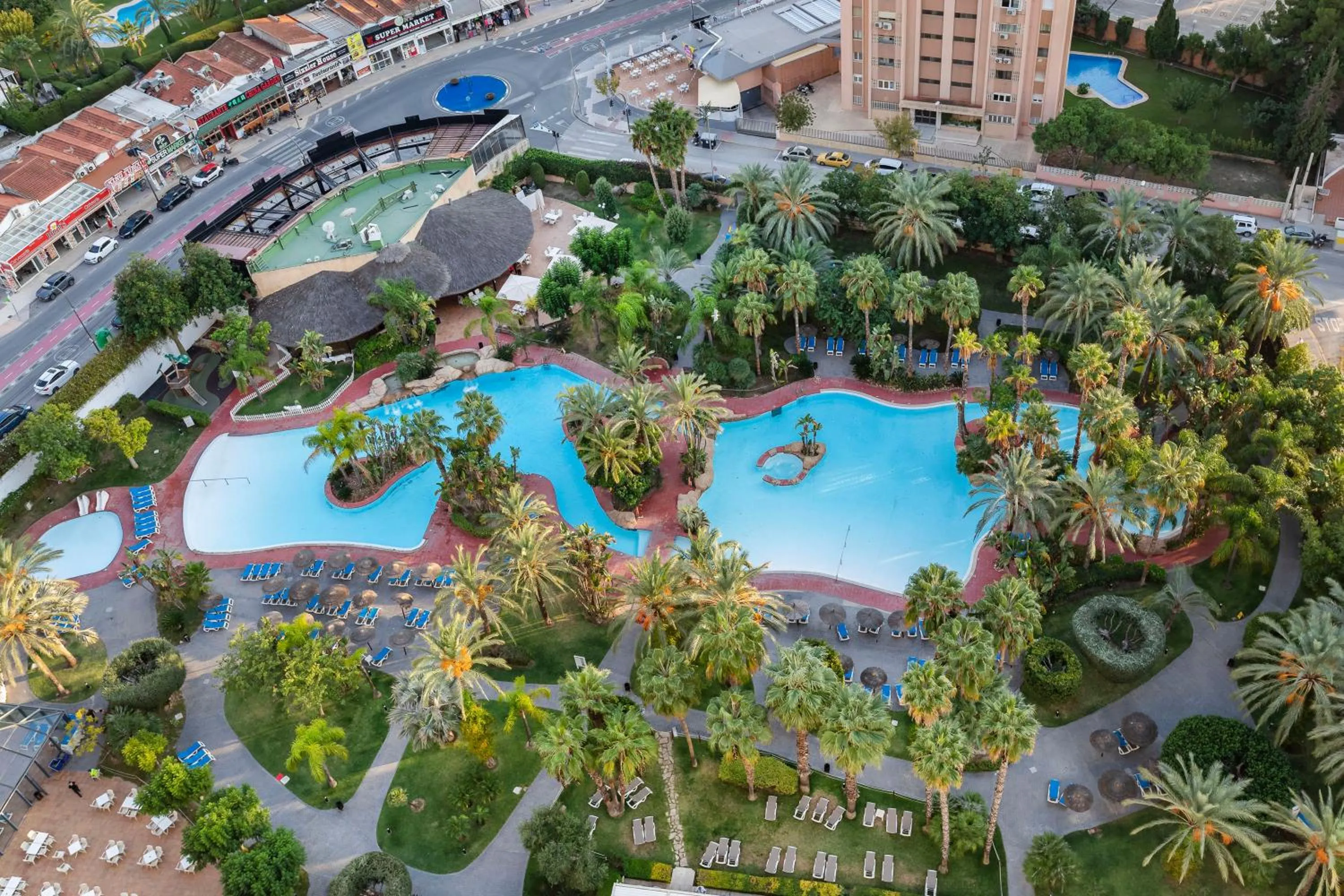 Garden in Melia Benidorm