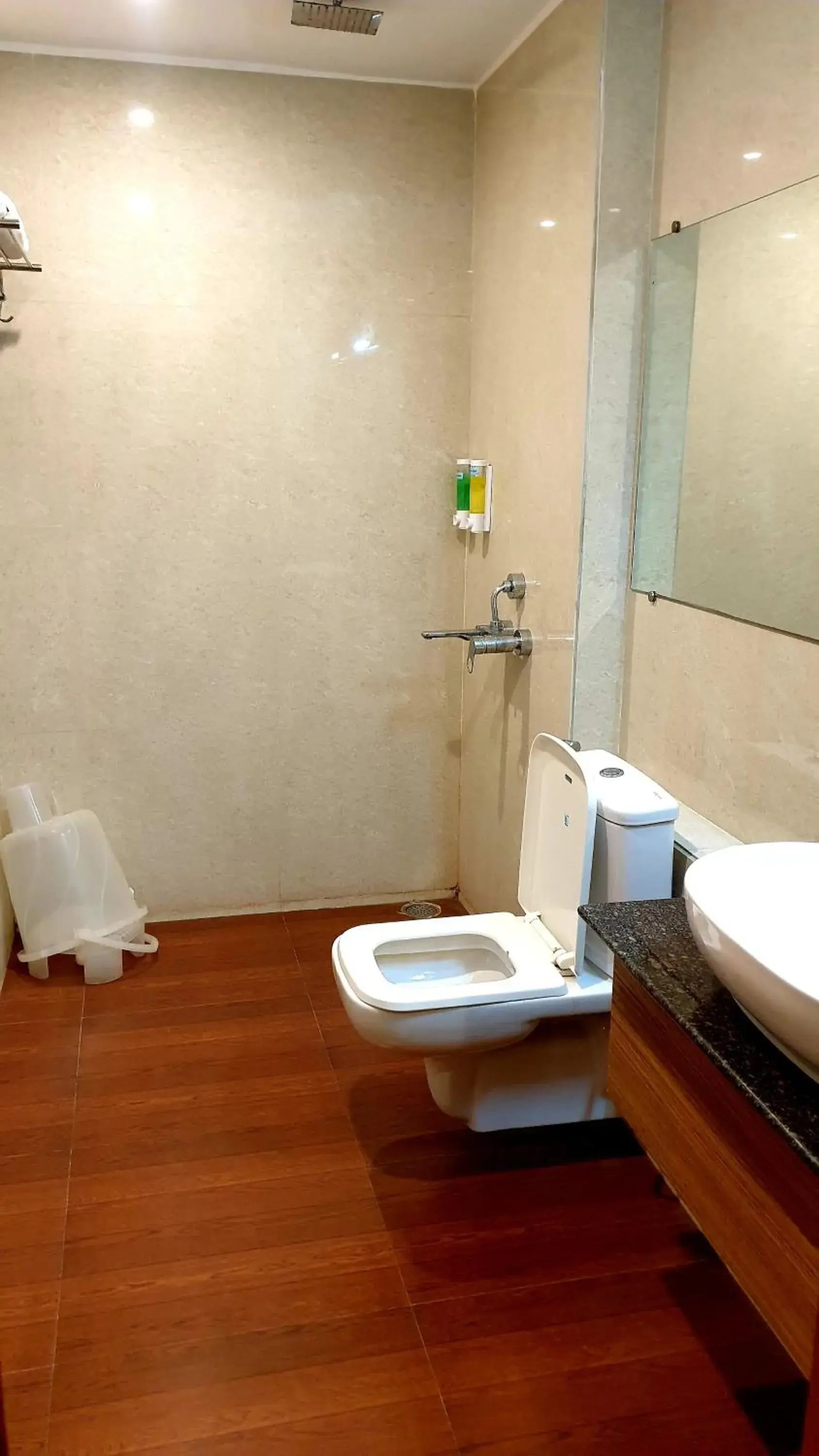 Bathroom in Hotel Shalimar Palace