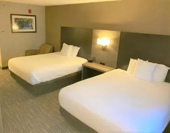 Photo of the whole room, Bed in Wingate by Wyndham Erie