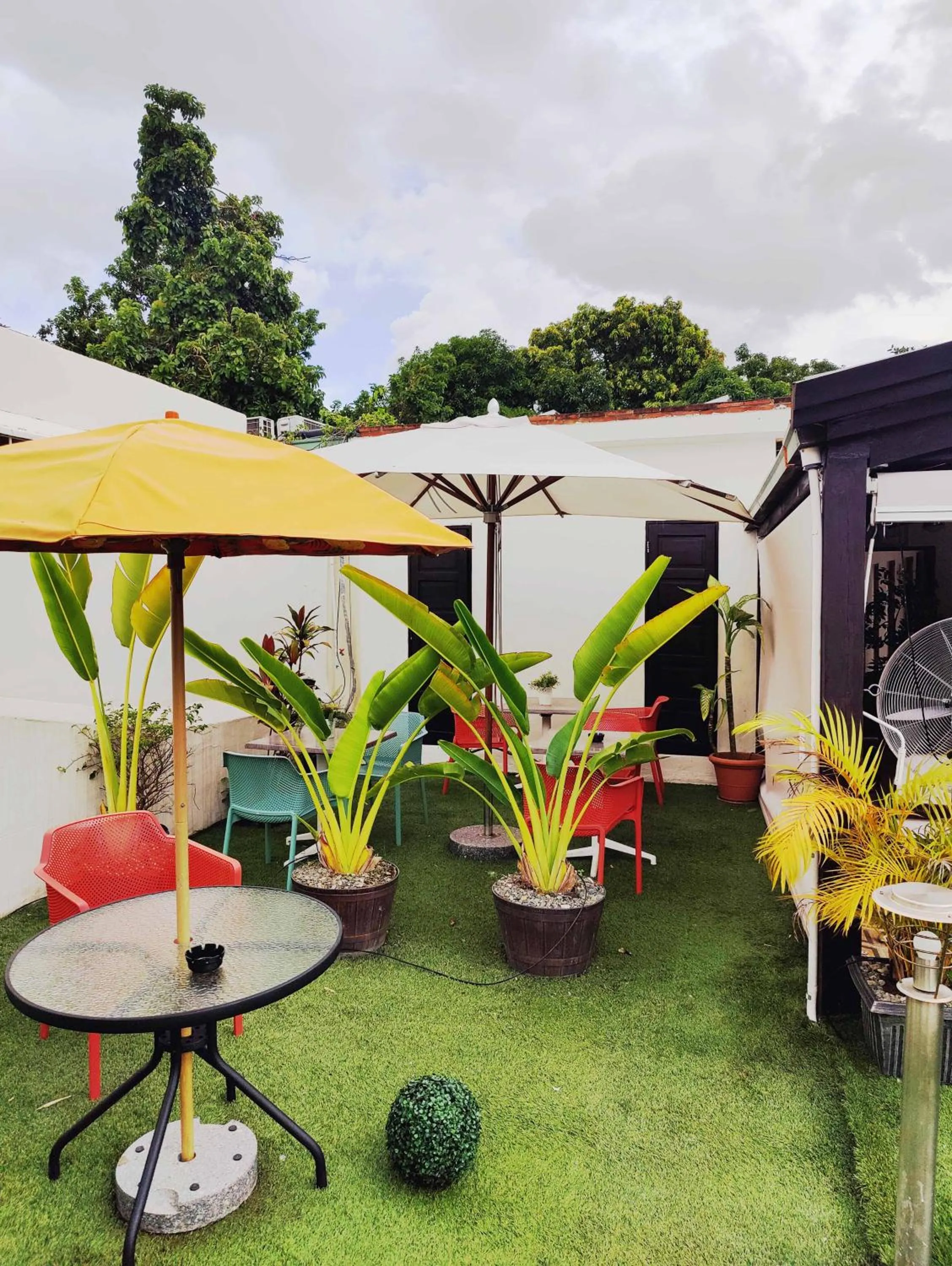 Garden in Hotel Boutique Casa Sánchez