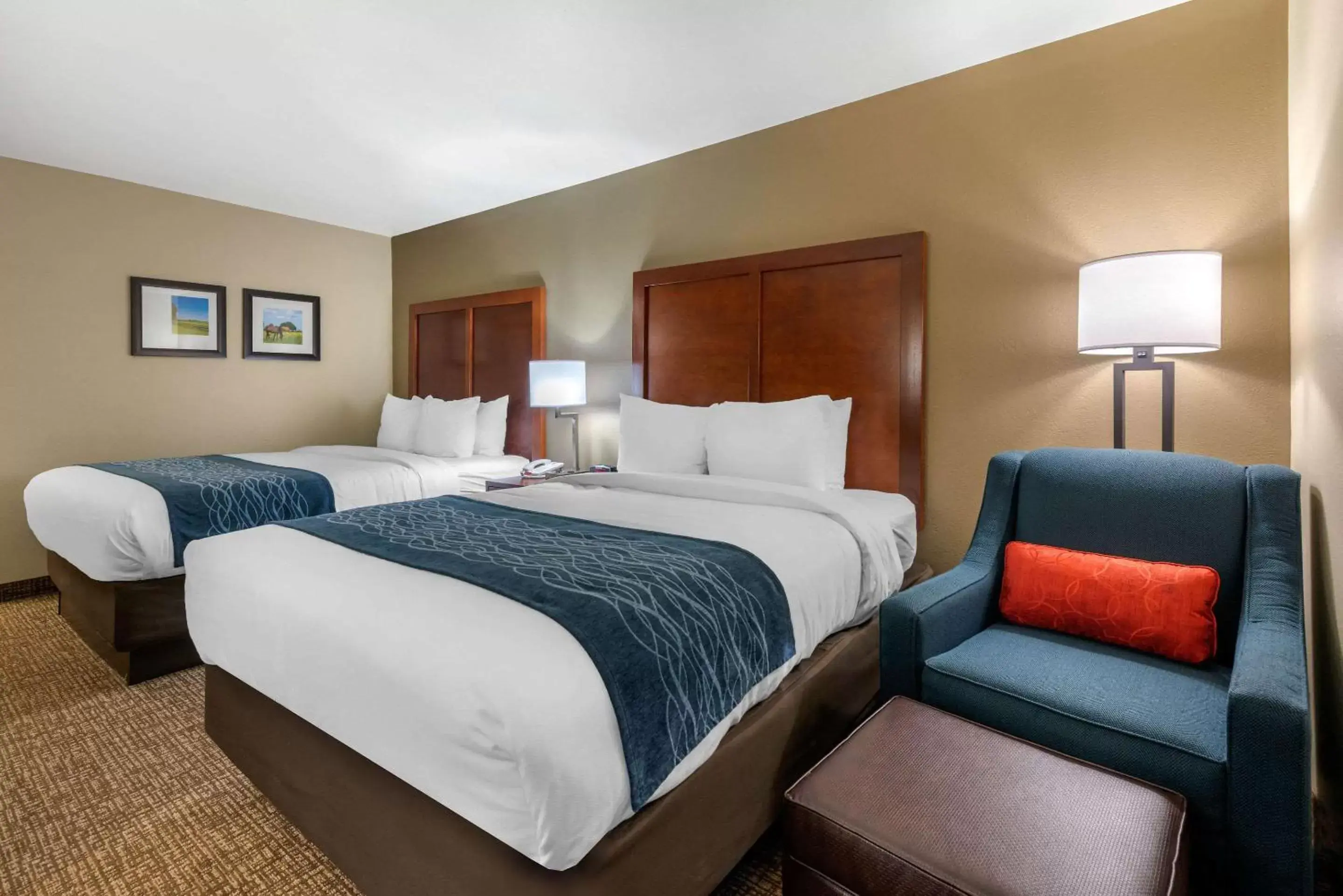 Photo of the whole room, Bed in Comfort Inn Ocala Silver Springs